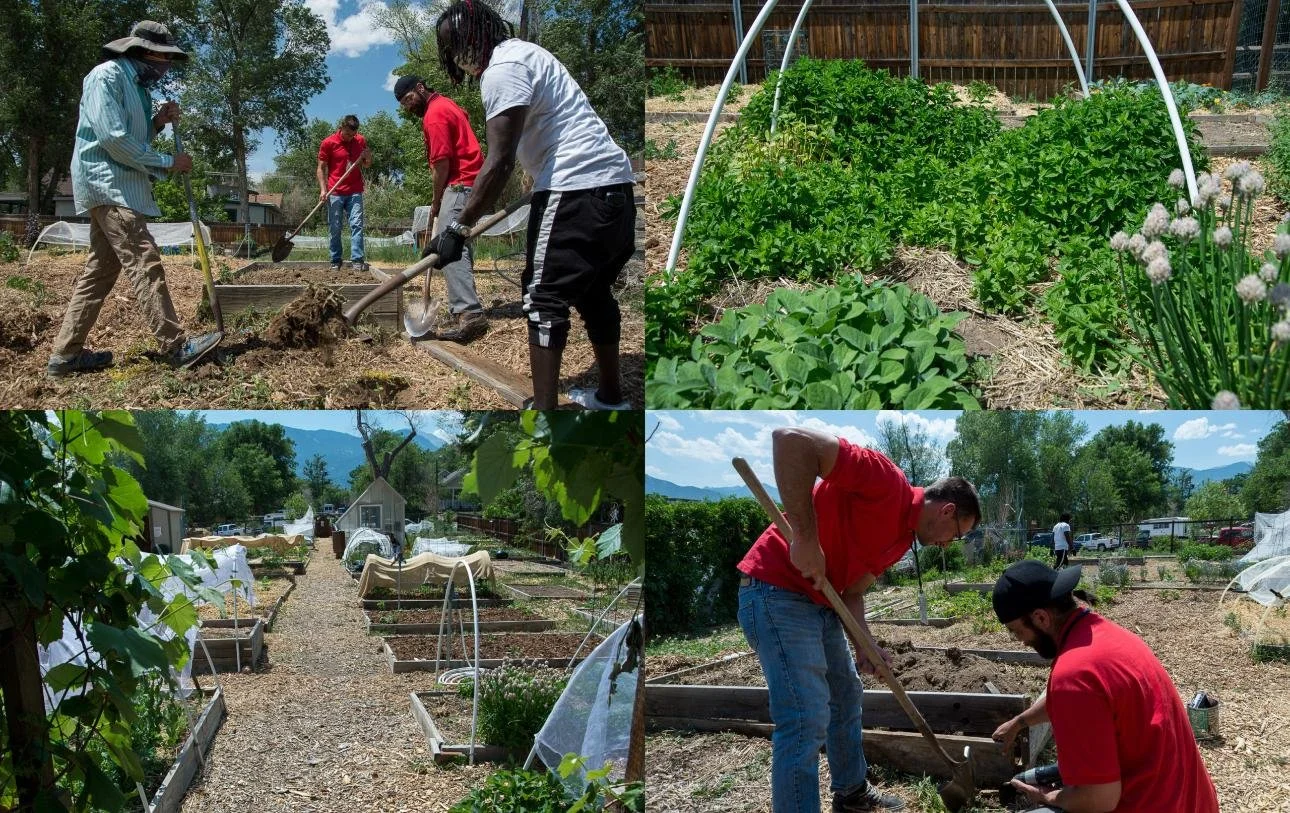 Therapeutic Gardens