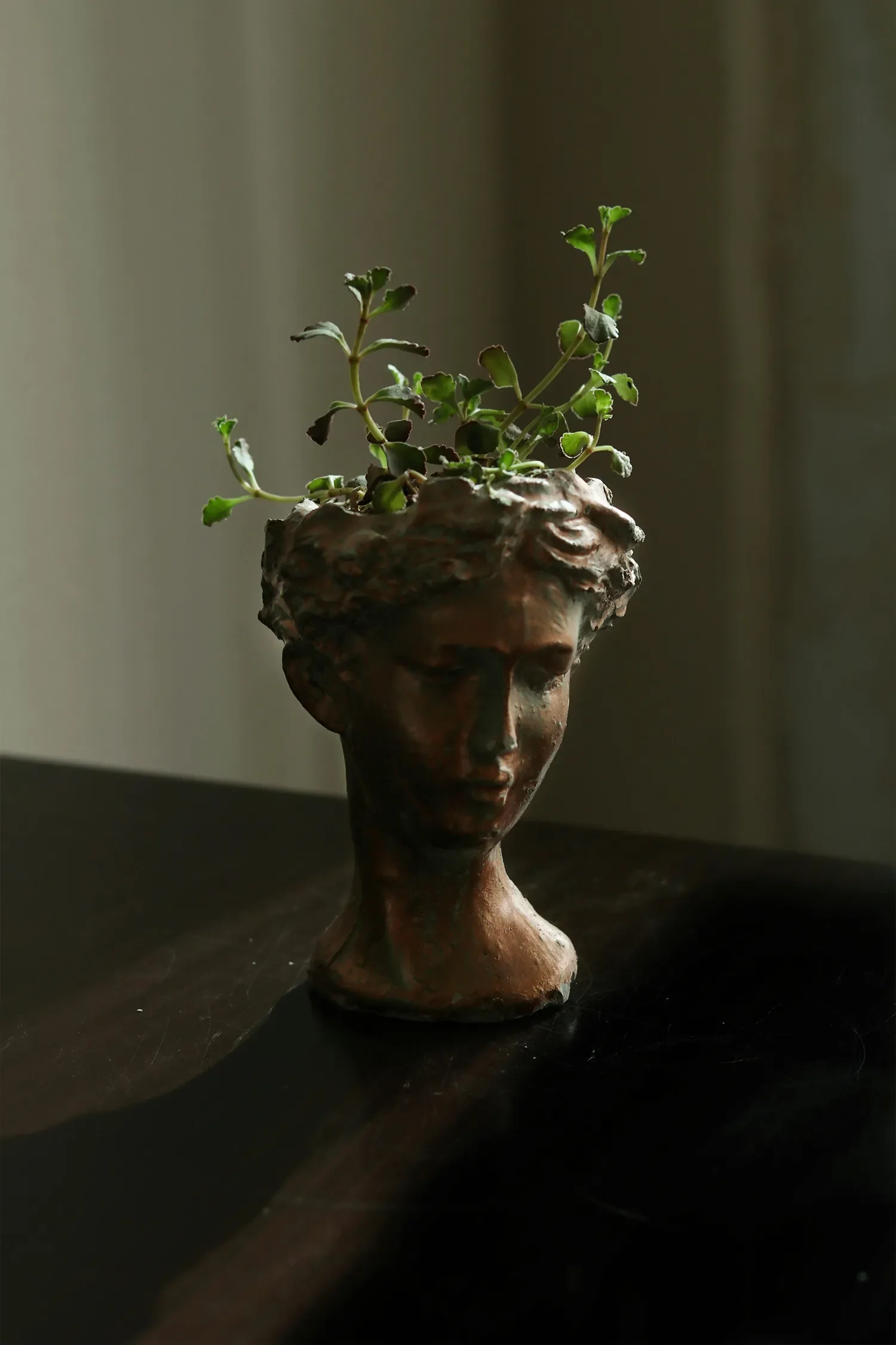 A decorative sculpture of a woman's head used as a planter, with small green plants growing from the top. The sculpture is dark-colored and has a textured, vintage appearance, placed on a dark surface with a blurred background.