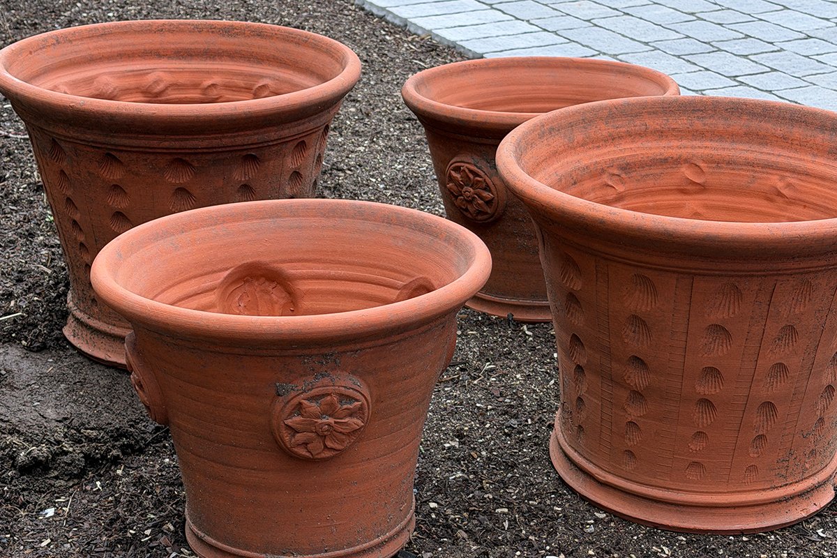 Which Plants for These Whichfords?