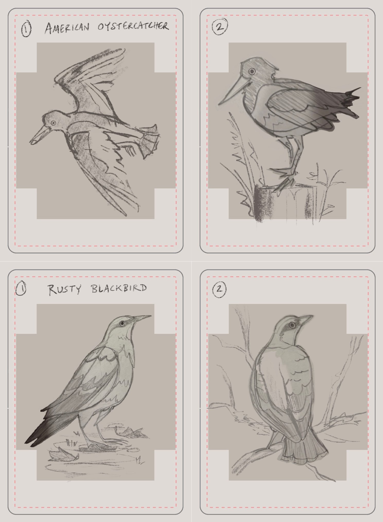 RohdeAnna_Roughs_BirdsGeorgia.jpg