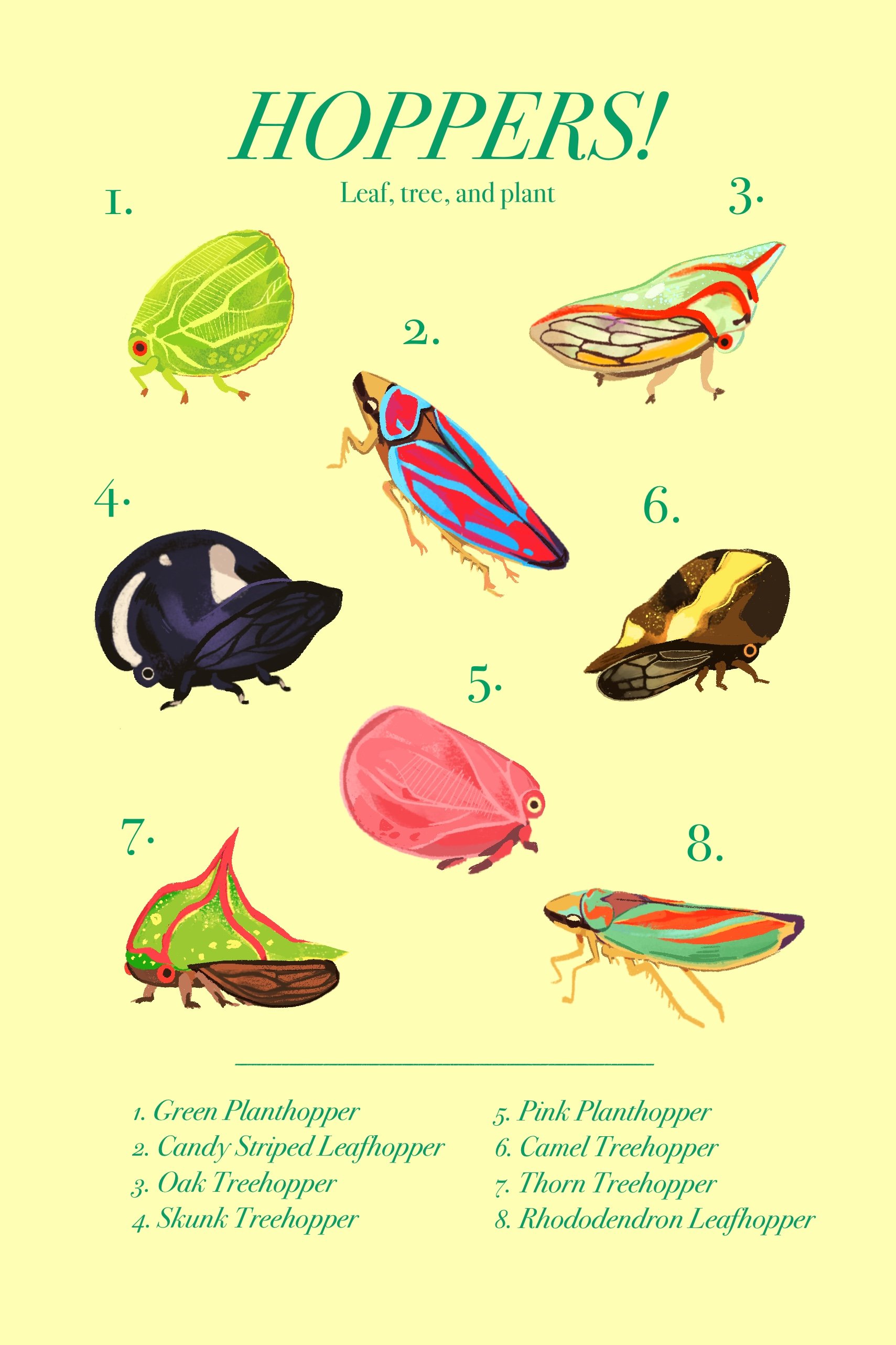 Illustration of various types of hoppper insects with names and numbered labels, including green plant hopper, candy striped leafhopper, oak treehopper, skunk treehopper, pink plant hopper, camel treehopper, thorn treehopper, and rhododendron leafhop