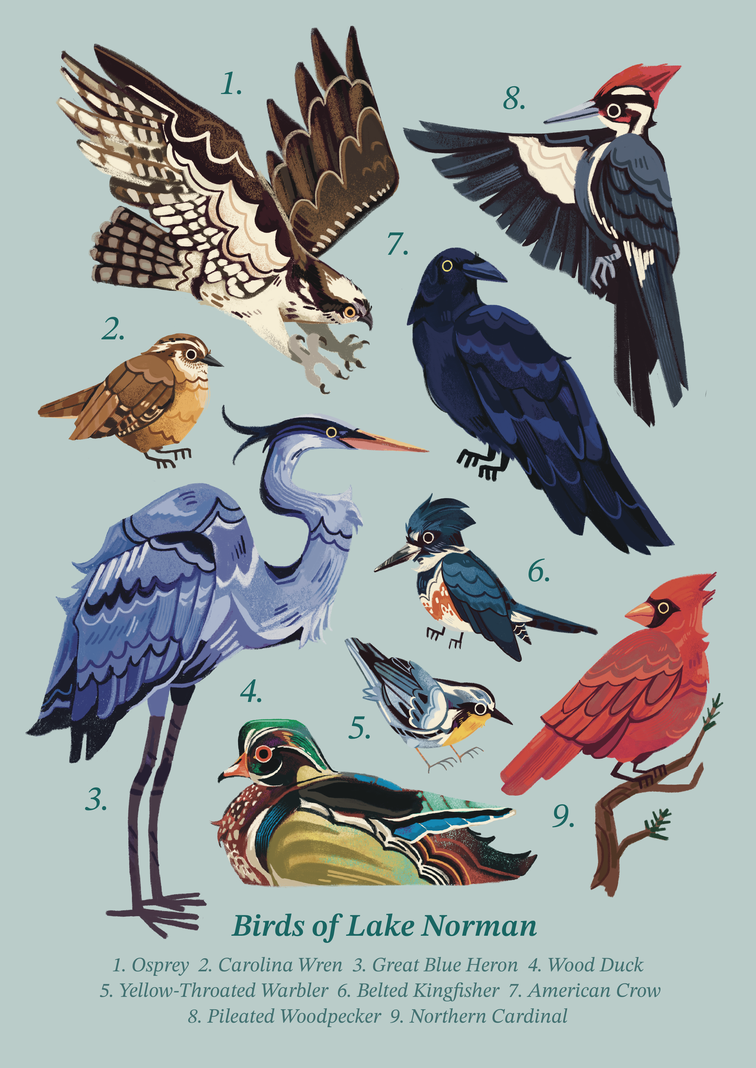LANO_Birds_Final.png