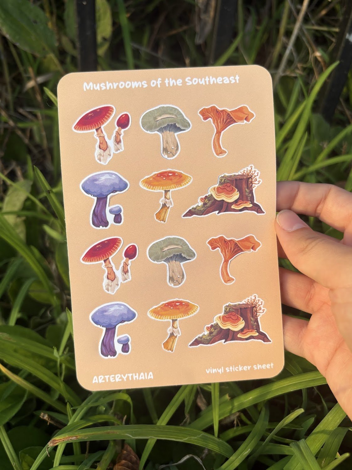 A vinyl sticker sheet titled "Mushrooms of the Southeast" featuring illustrations of various Southeast Asian mushrooms, including red-capped, green-capped, orange, purple, and orange fungi, against grass and plants.