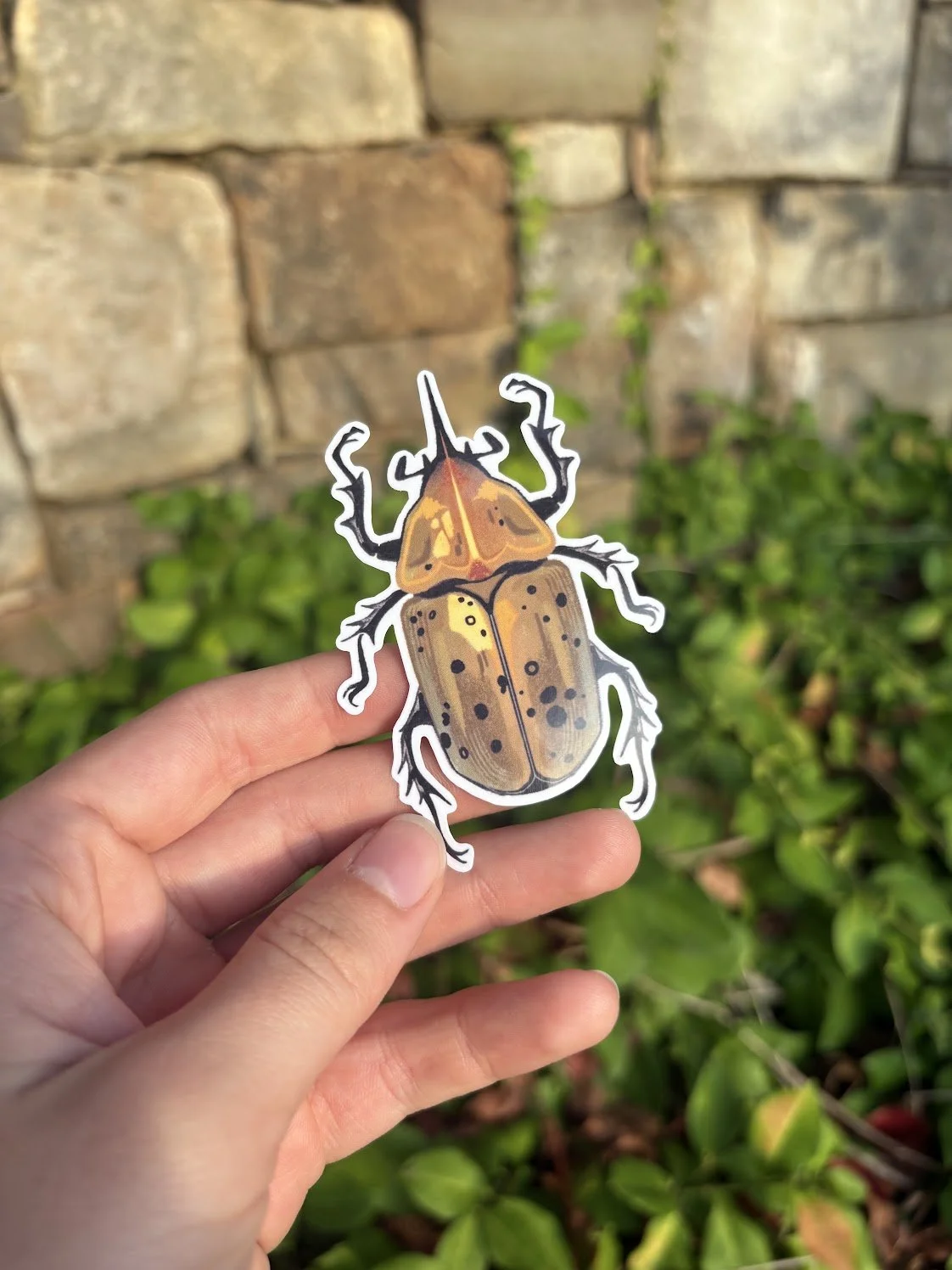 Hand holding a paper cutout of a beetle with a stone wall and green plants in the background.