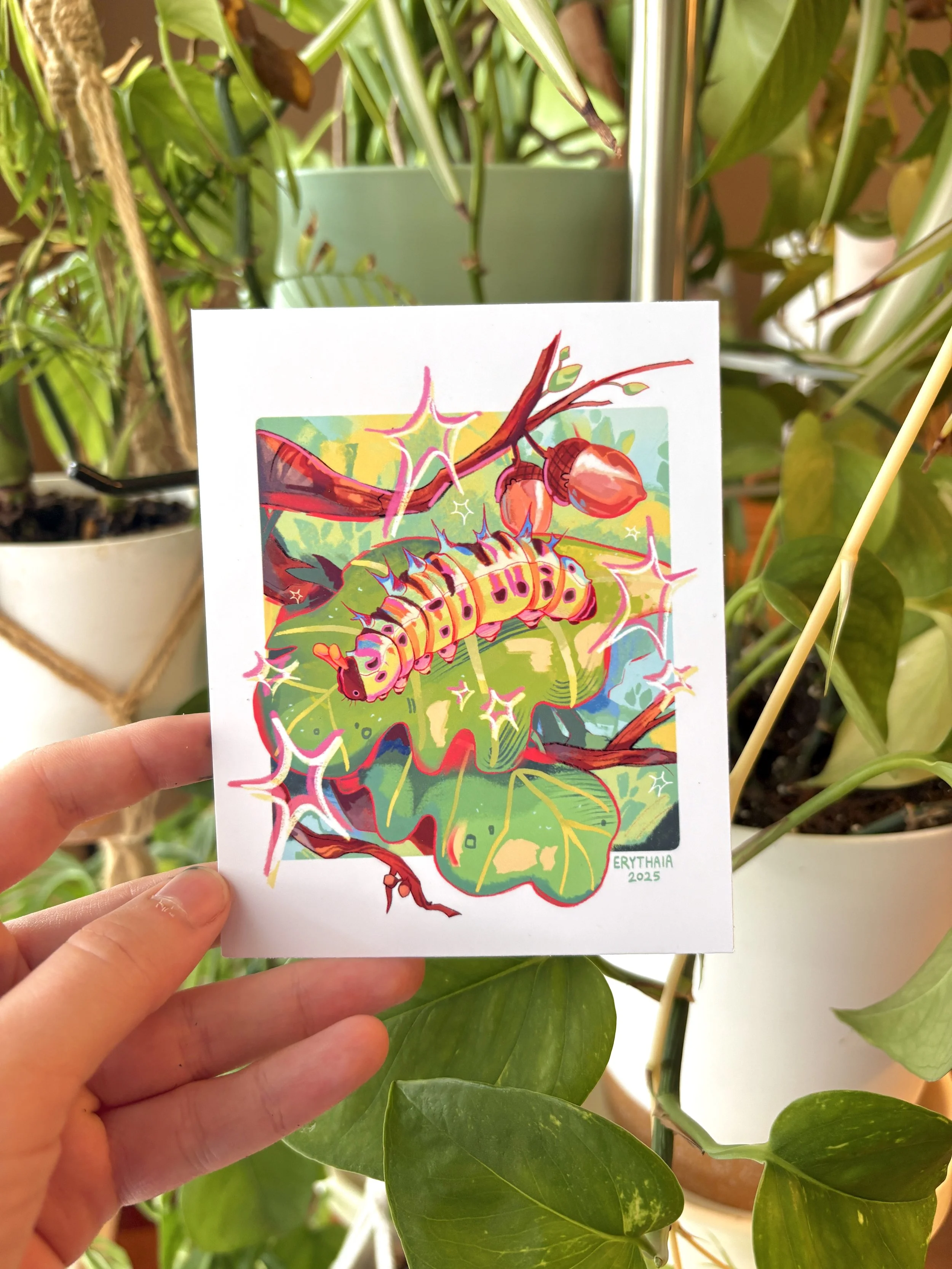 Colorful botanical illustration of an Erythrina plant with bright red flowers and a caterpillar on a leaf, signed Erythraia 2025.