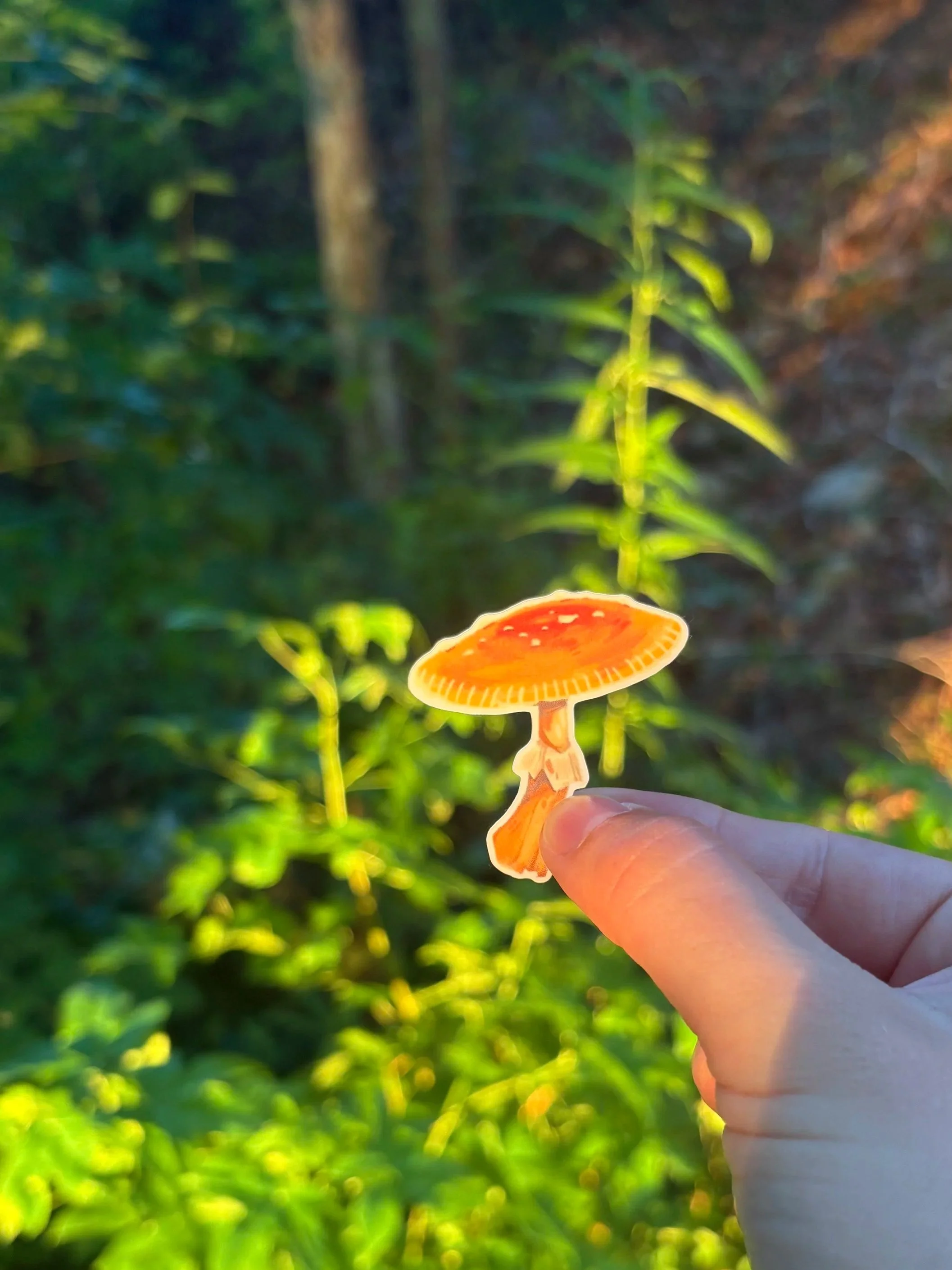 Person holding a small mushroom with a red cap and white spots in a green, forested area.