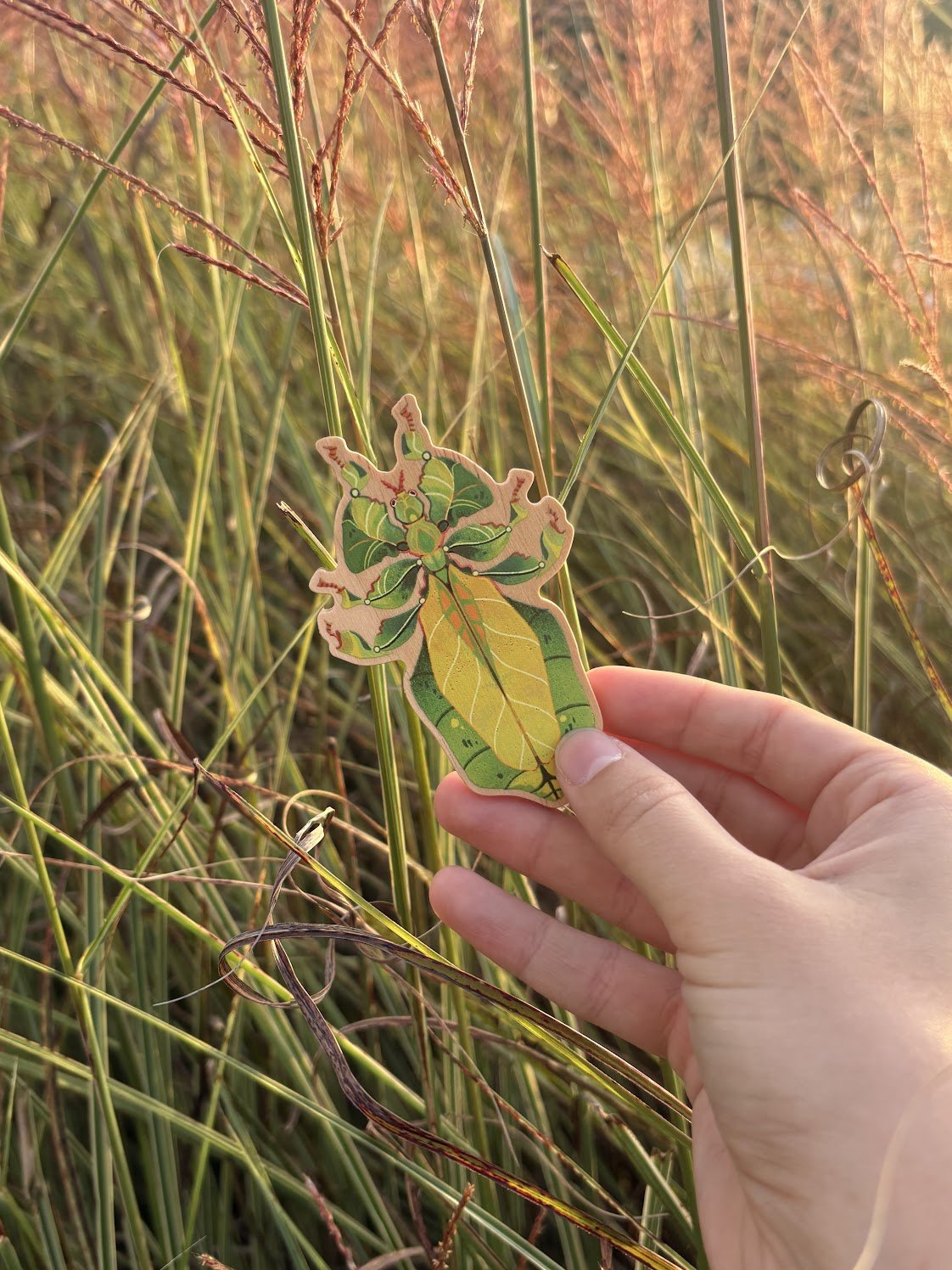 A hand holding a cutout depicting a leaf insect, with a grassy field and sunlight in the background.