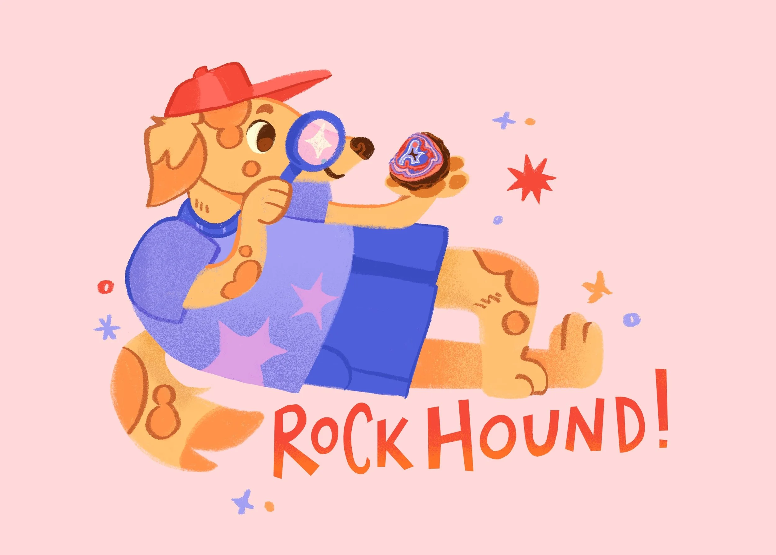 Illustration of a dog with orange spots wearing a red hat and blue shirt holding a magnifying glass and a donut, with colorful stars and the text "Rock Hound!" in red letters.
