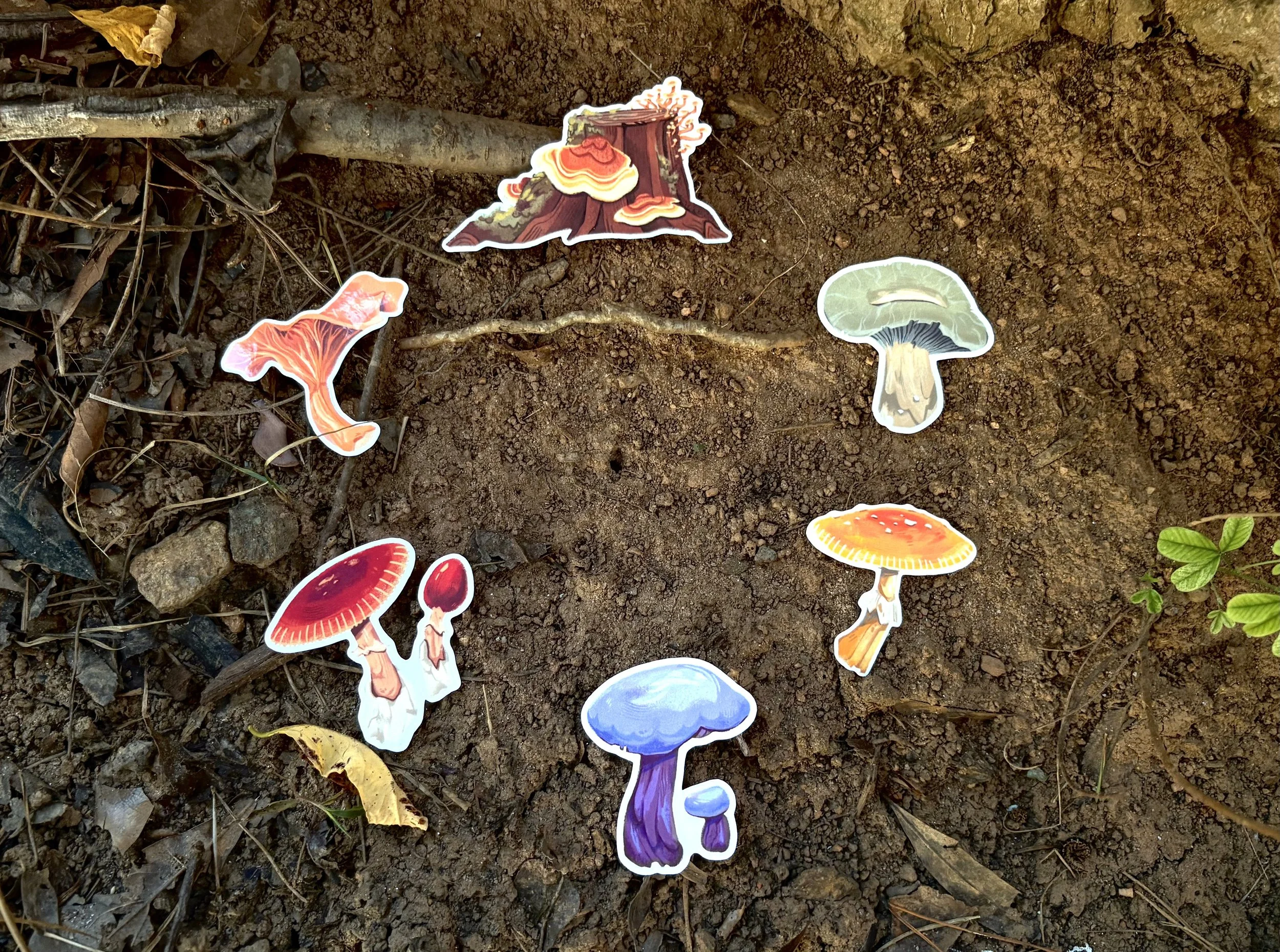 Colorful illustration stickers of mushrooms and a tree stump scattered on soil with some small green plants and dried leaves.
