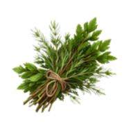 A small bunch of fresh rosemary tied with a brown string.