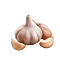 Garlic