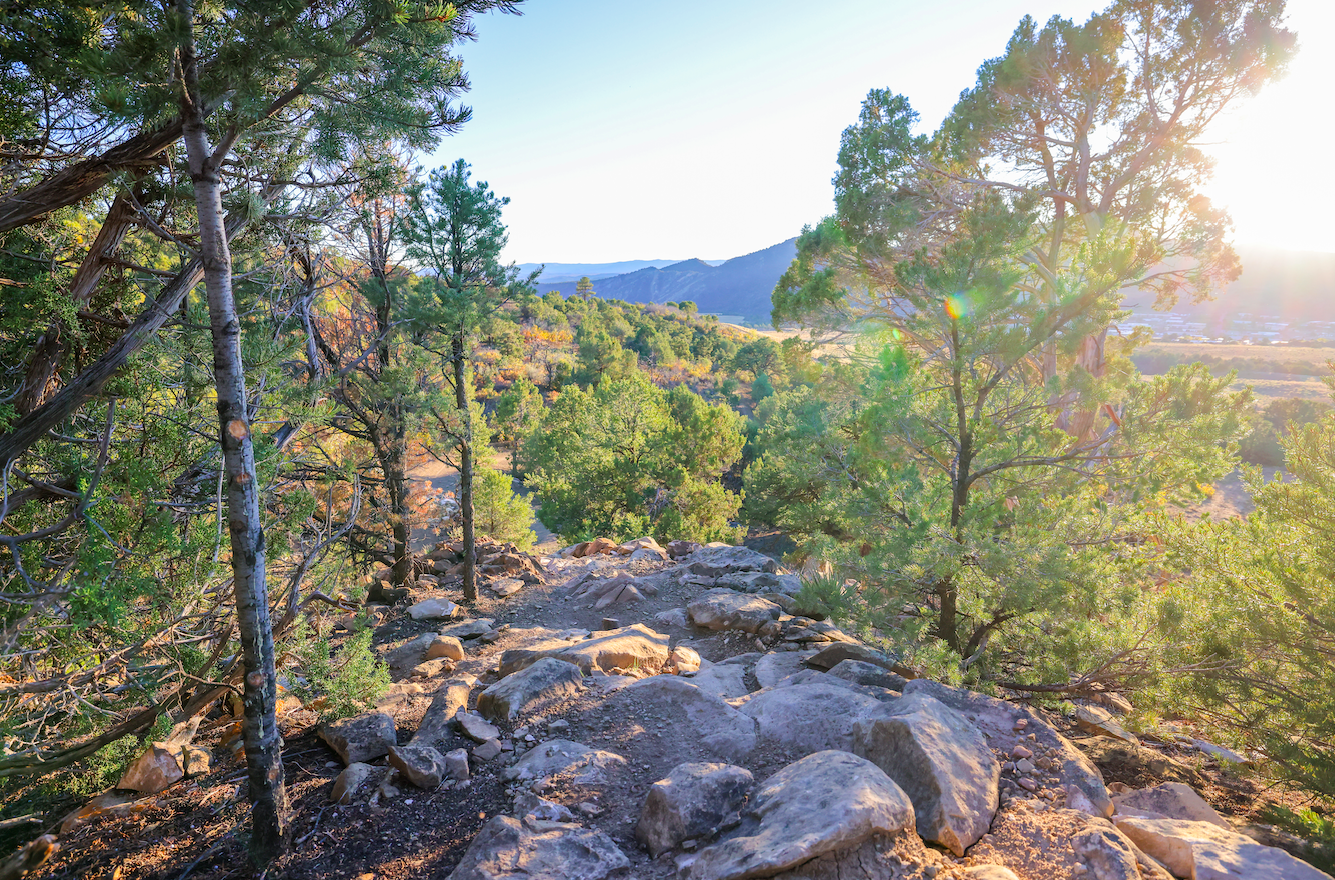 A rocky trail lined with pine trees in a mountainous landscape, with the sun setting on the horizon illuminating the trees and mountains in the distance.