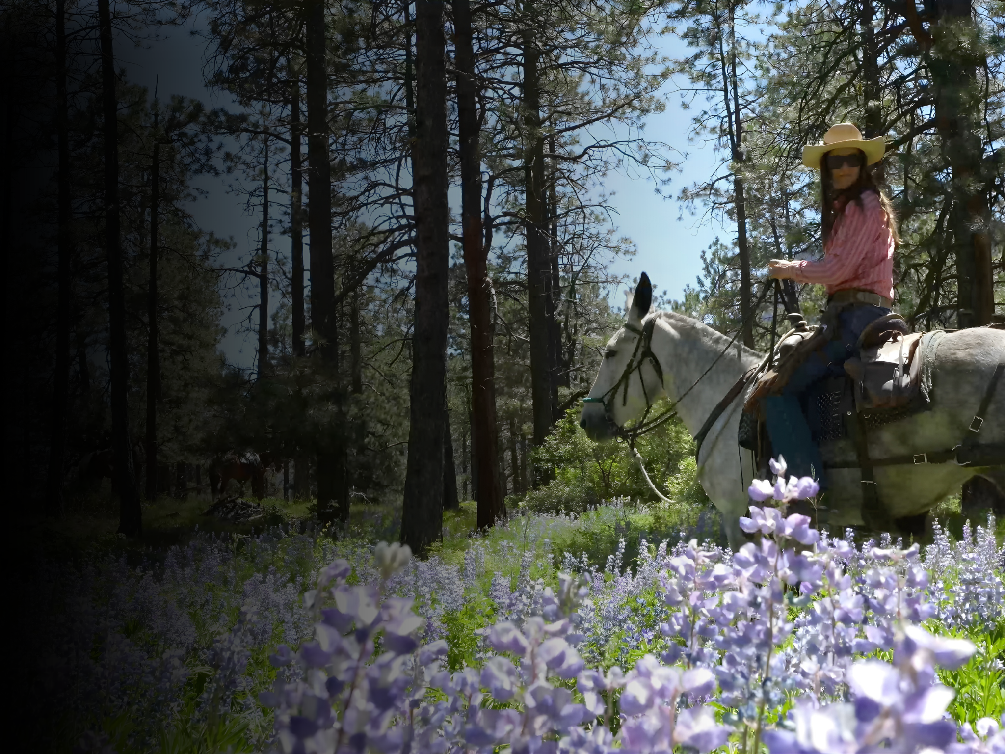 A woman wearing a cowboy hat and sunglasses riding a white horse through a forest with trees and purple wildflowers in the foreground.