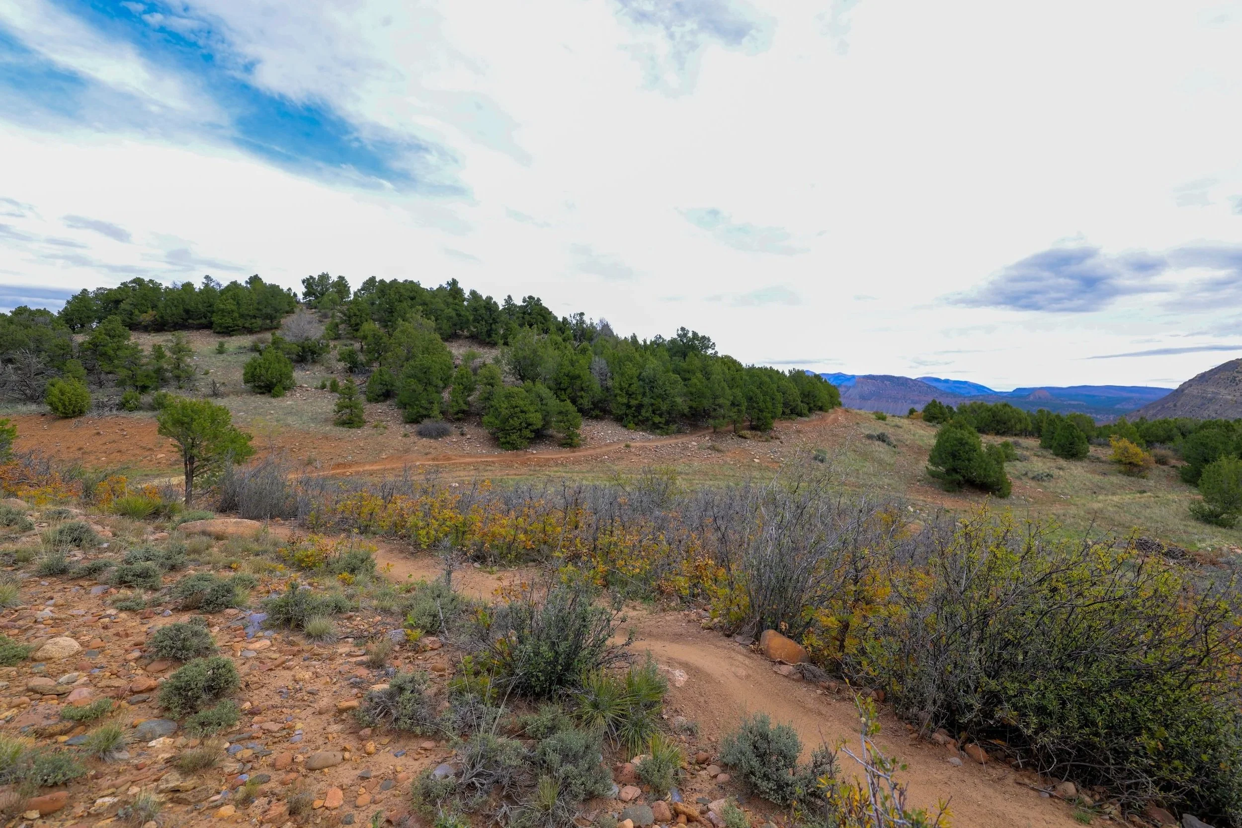 A scenic view of a rocky trail winding through a semi-arid landscape with scattered bushes and small trees, leading towards forested hills under a partly cloudy sky.
