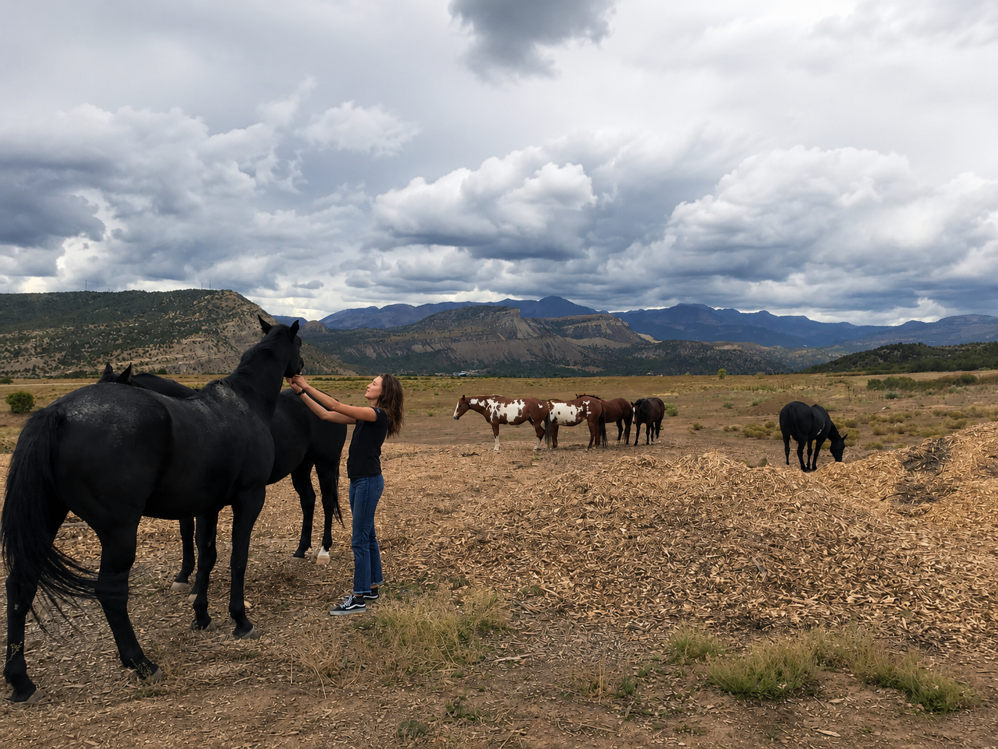 A woman interacts with a black horse in a vast open field with other horses grazing nearby. The background features mountains under a cloudy sky.
