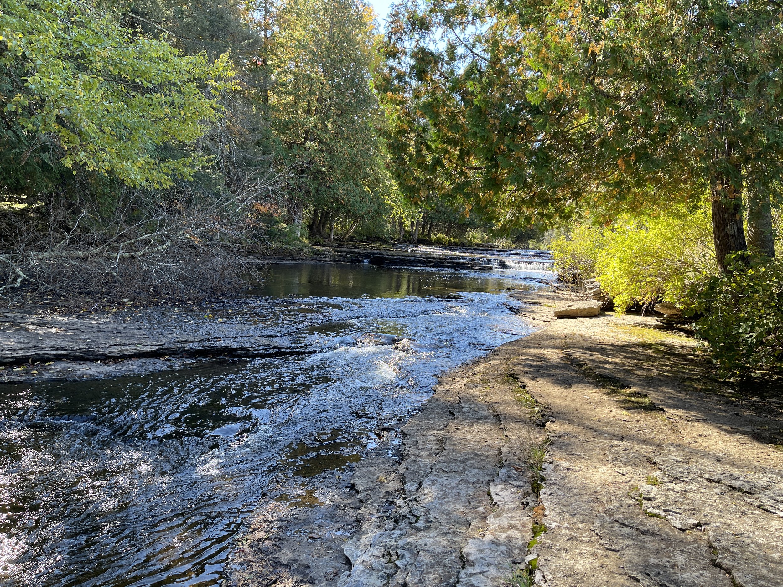A peaceful river flowing through a forest with trees on both sides. The sunlight filters through the green leaves, casting shadows on the rocky riverbank.
