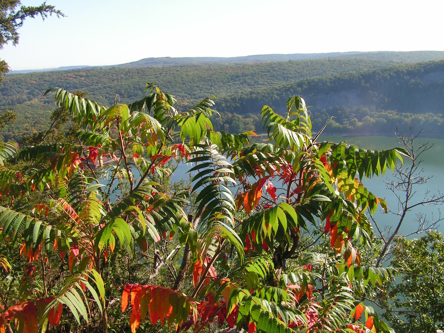 A scenic landscape with colorful trees near a lake, hills, and mountains in the background on a sunny day.