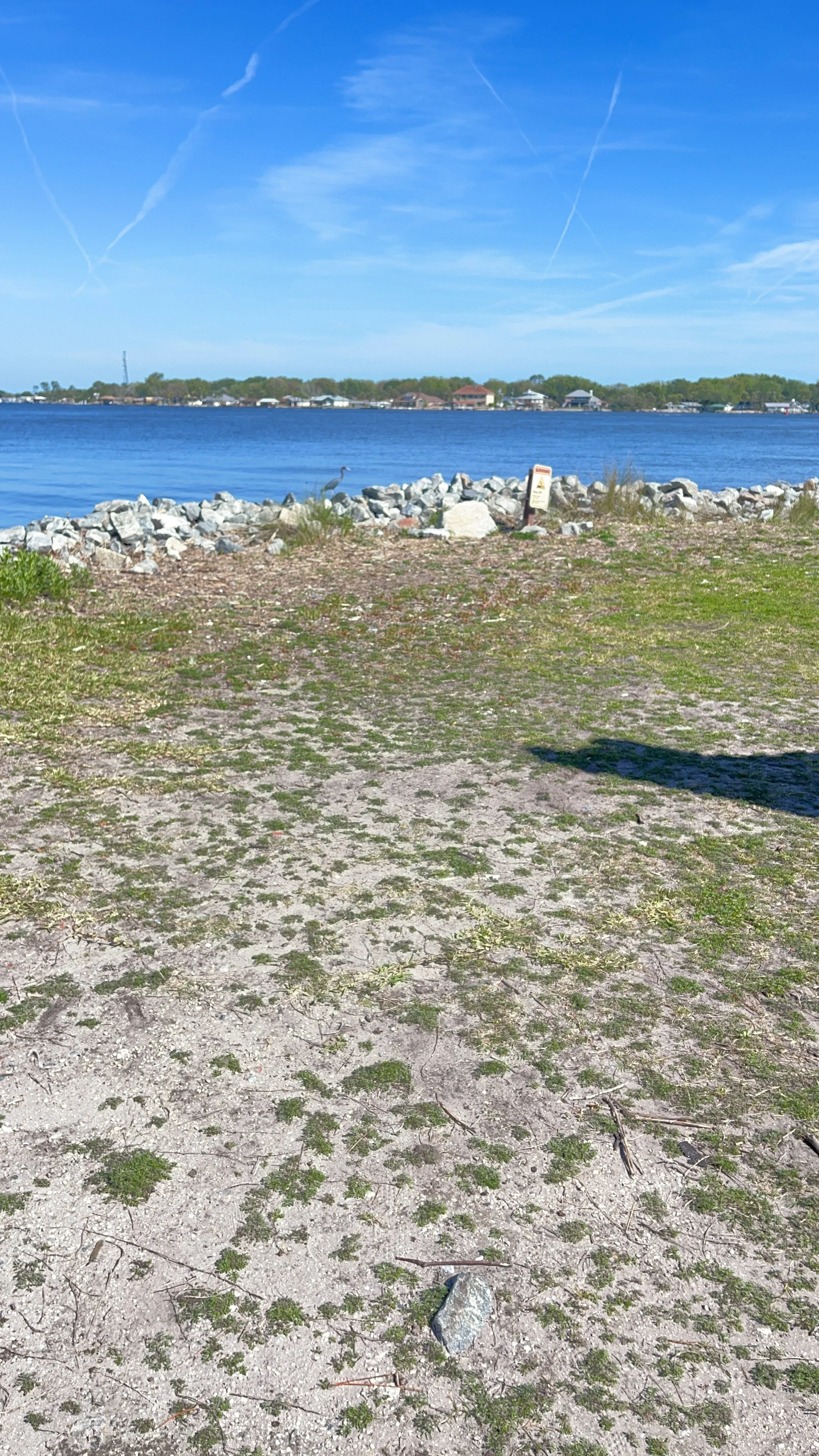 A lakeside view with a rocky shoreline, a heron standing near the water, and houses on the opposite bank. The sky is blue with contrails.