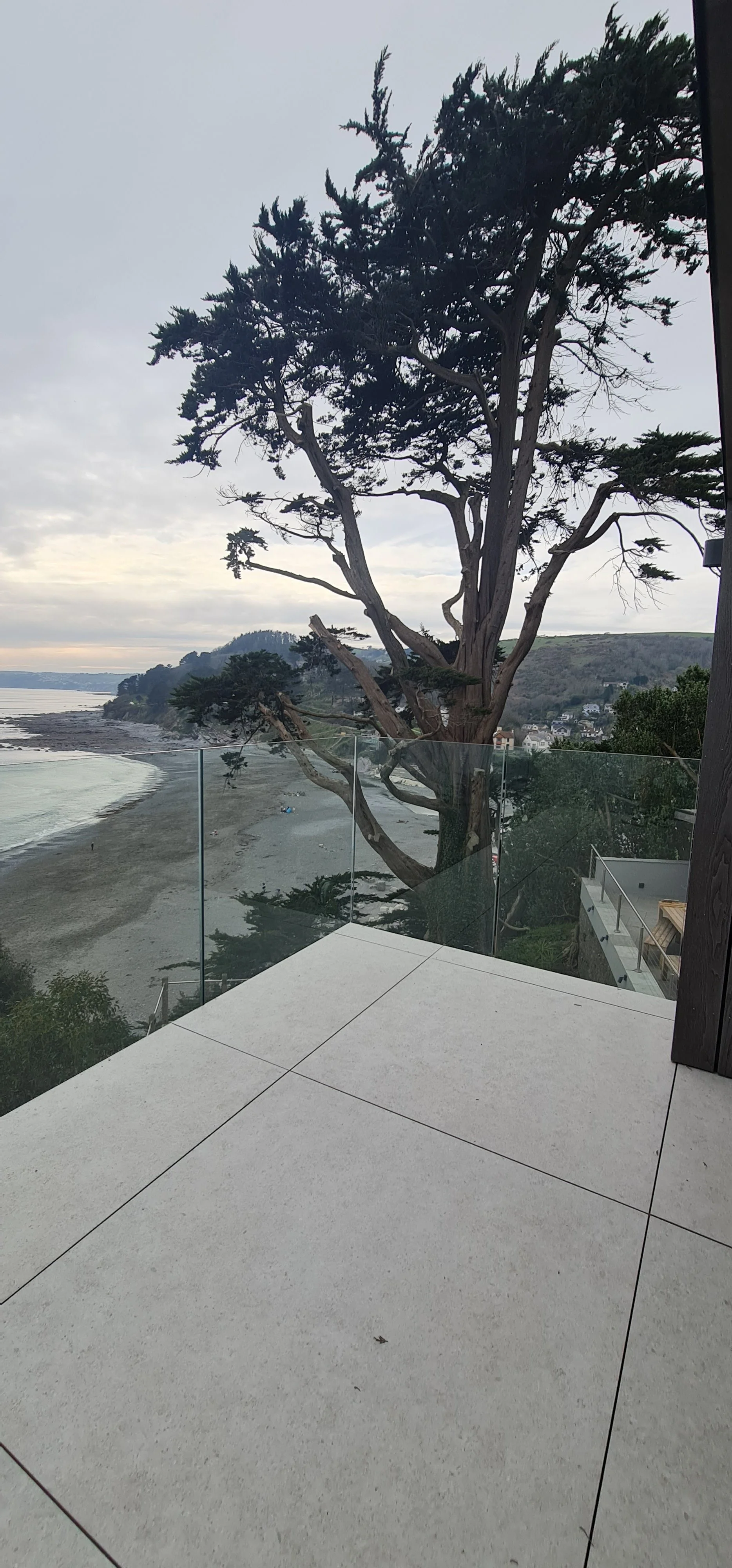 View of a large tree on a beach seen from a balcony with glass railings. The coastline extends into the distance with some houses on the hillside under a cloudy sky.