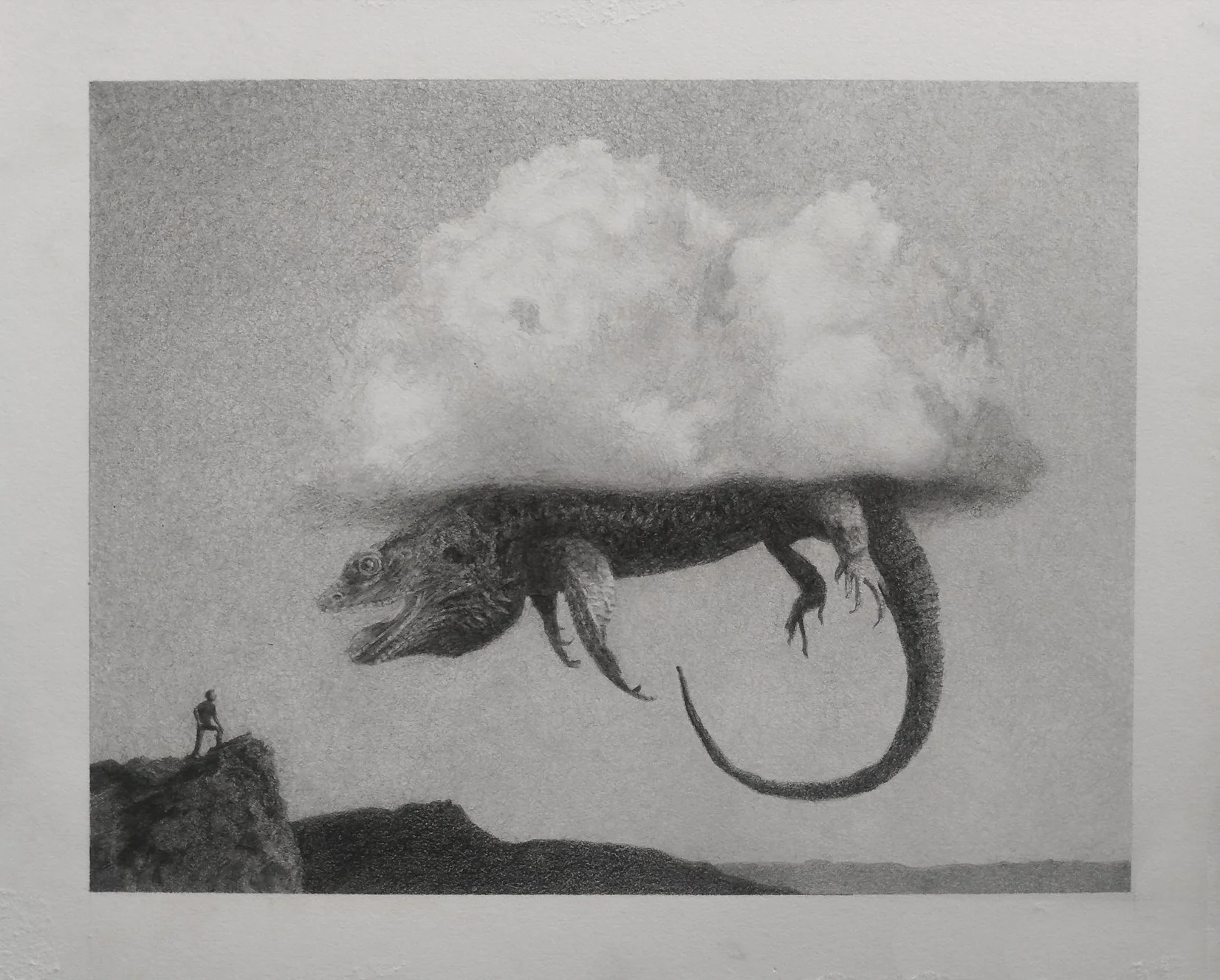 cloud lizard (just illustration).jpg