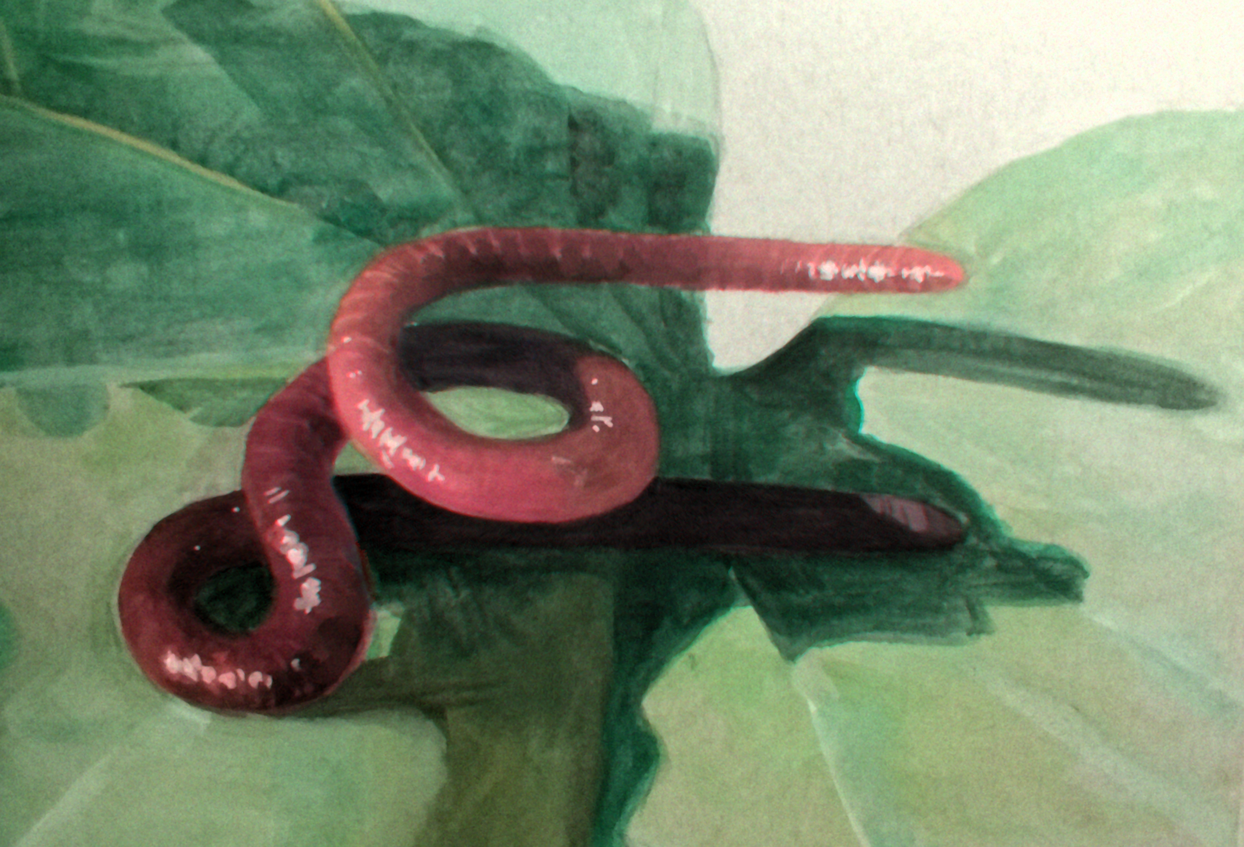 gummy worm (gauche)