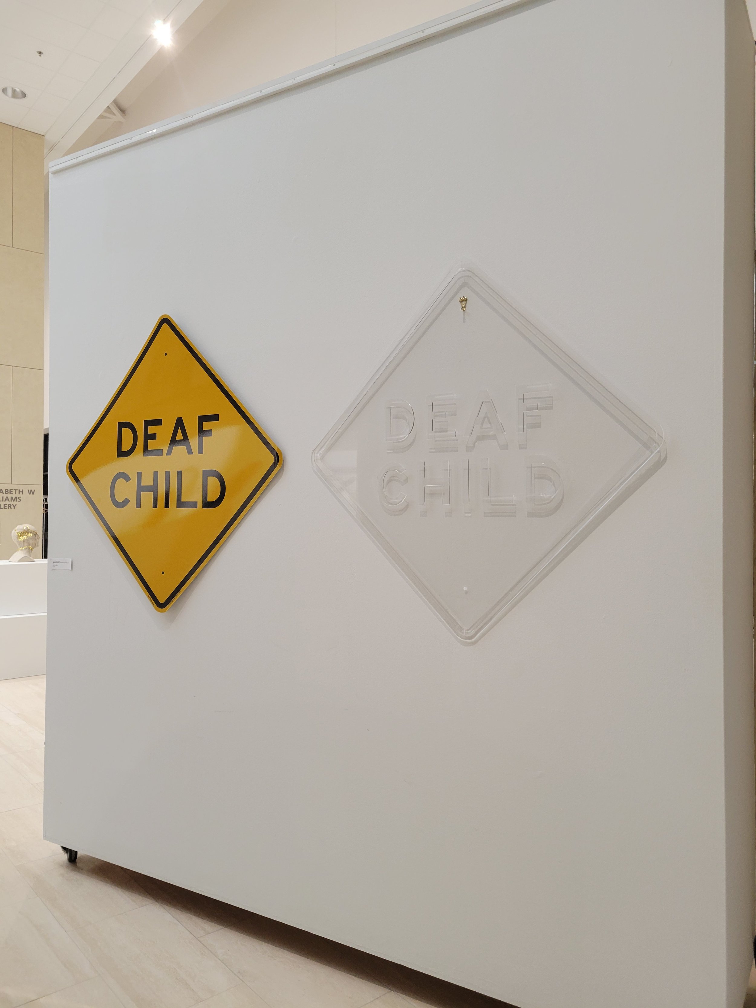 I Am Not Invisible? #1.jpg