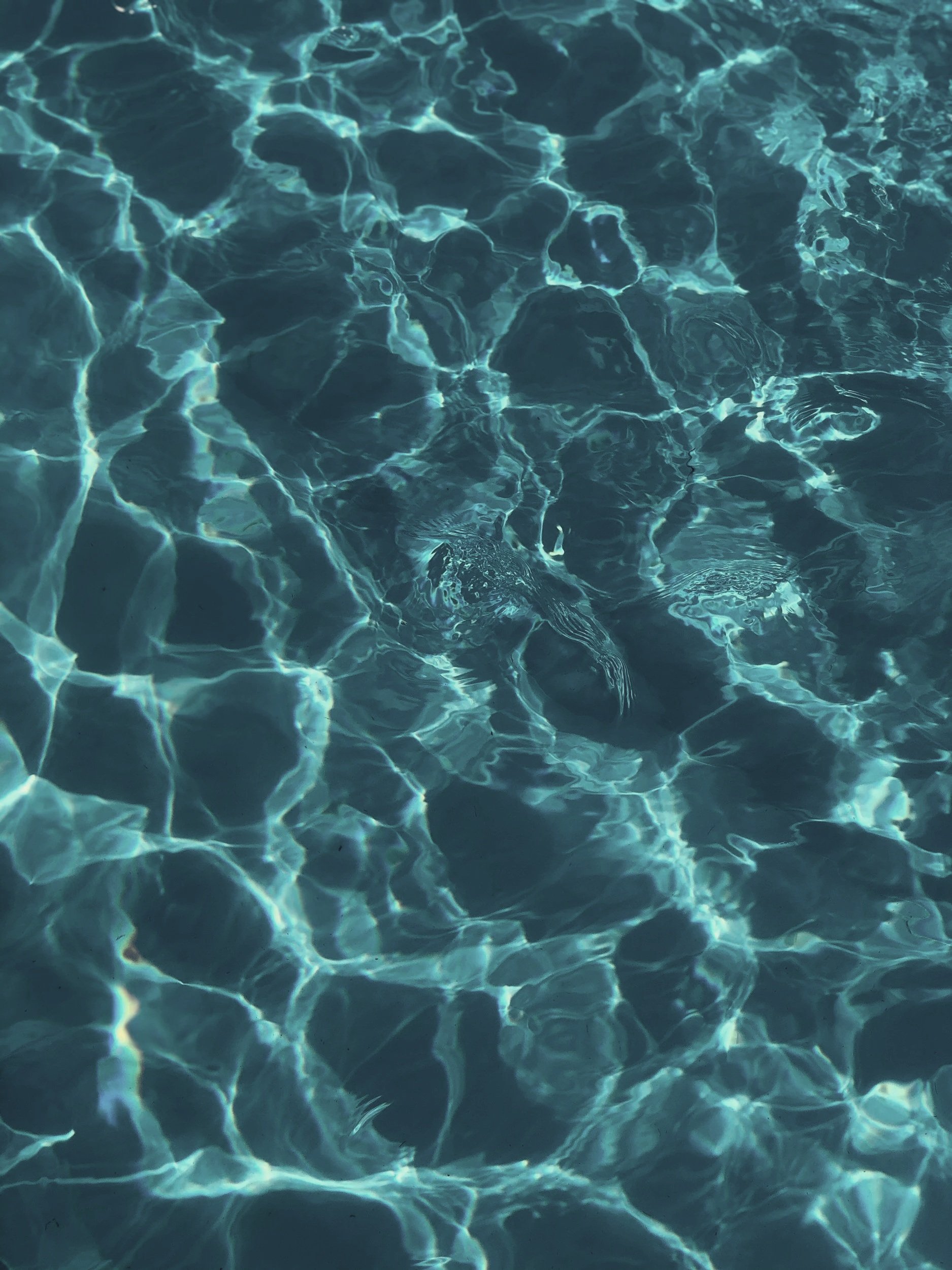 Servicios de fontanería de Molion