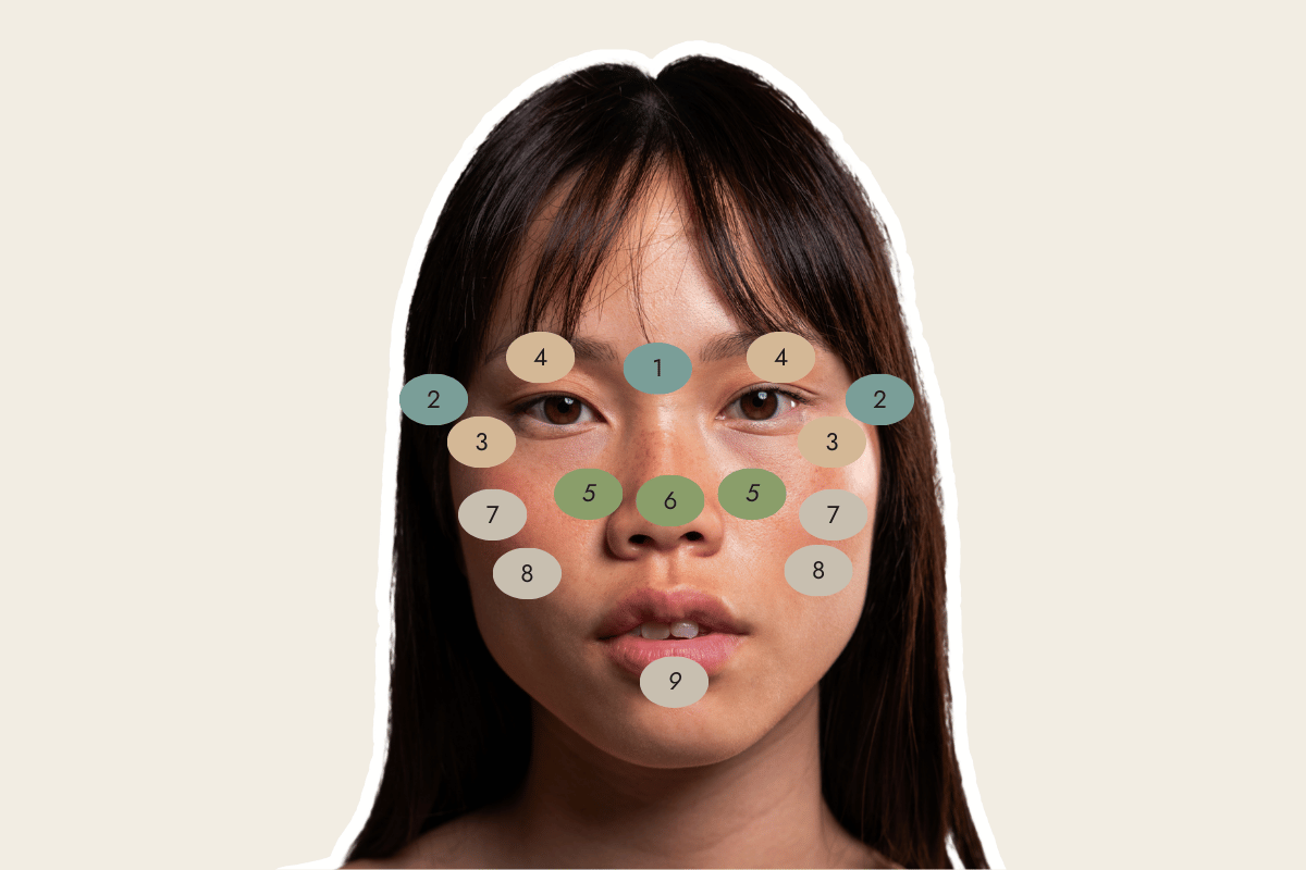 Annotated face of a woman with numbered zones indicating different areas of skincare or beauty analysis.