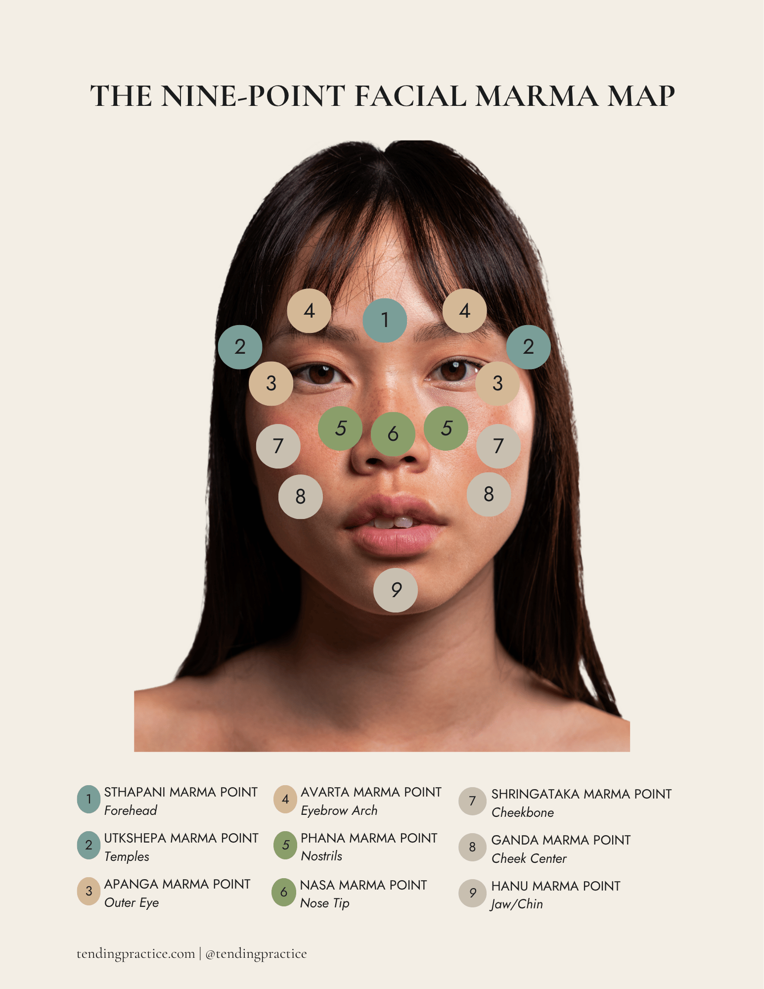 THE NINE-POINT FACIAL MARMA MAP