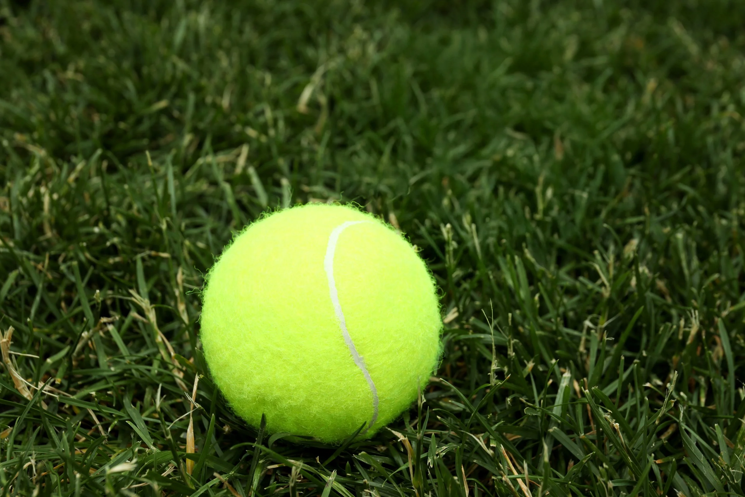 Close-up of a bright yellow tennis ball on green grass.