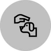 Icon of a hand holding a credit card or ID card