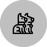 Icon of a microscope