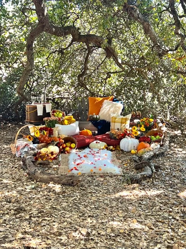 Luxury Picnics
