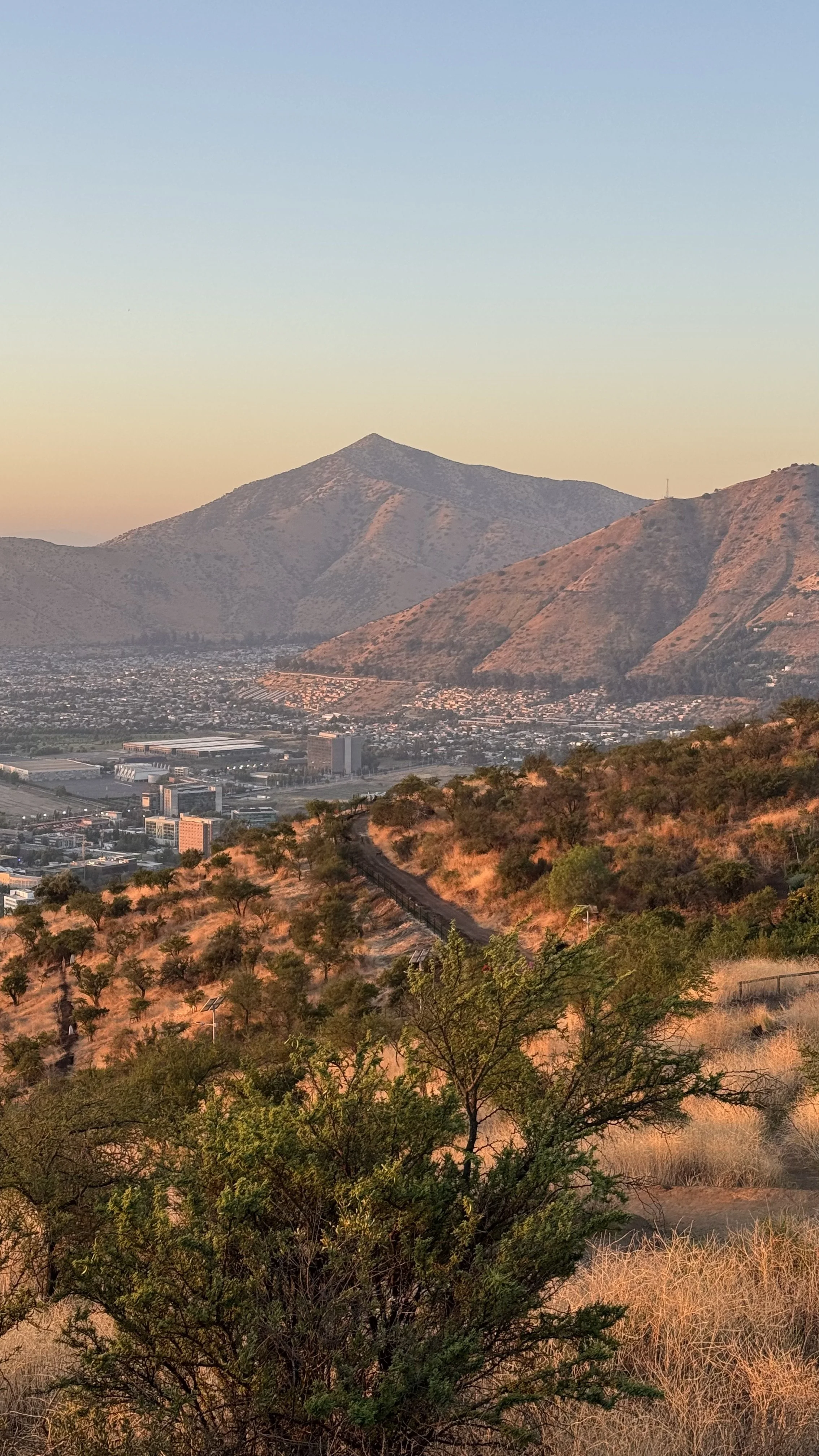 Landscape view of a city with mountains in the background during sunset, with dry vegetation and scattered trees in the foreground.