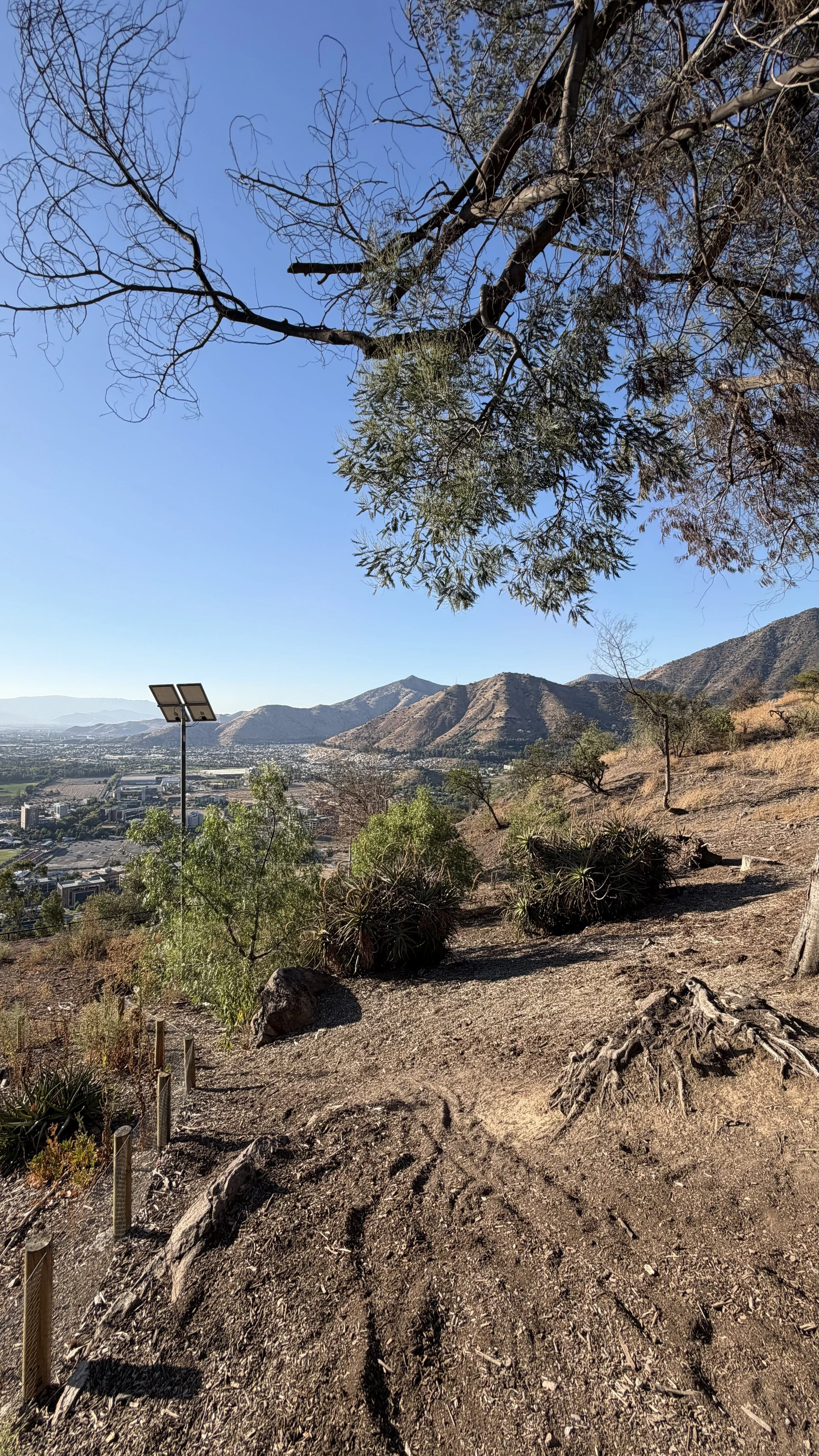 Hiking trail on a hillside overlooking a city with mountains in the background, trees, and desert plants under a clear blue sky.