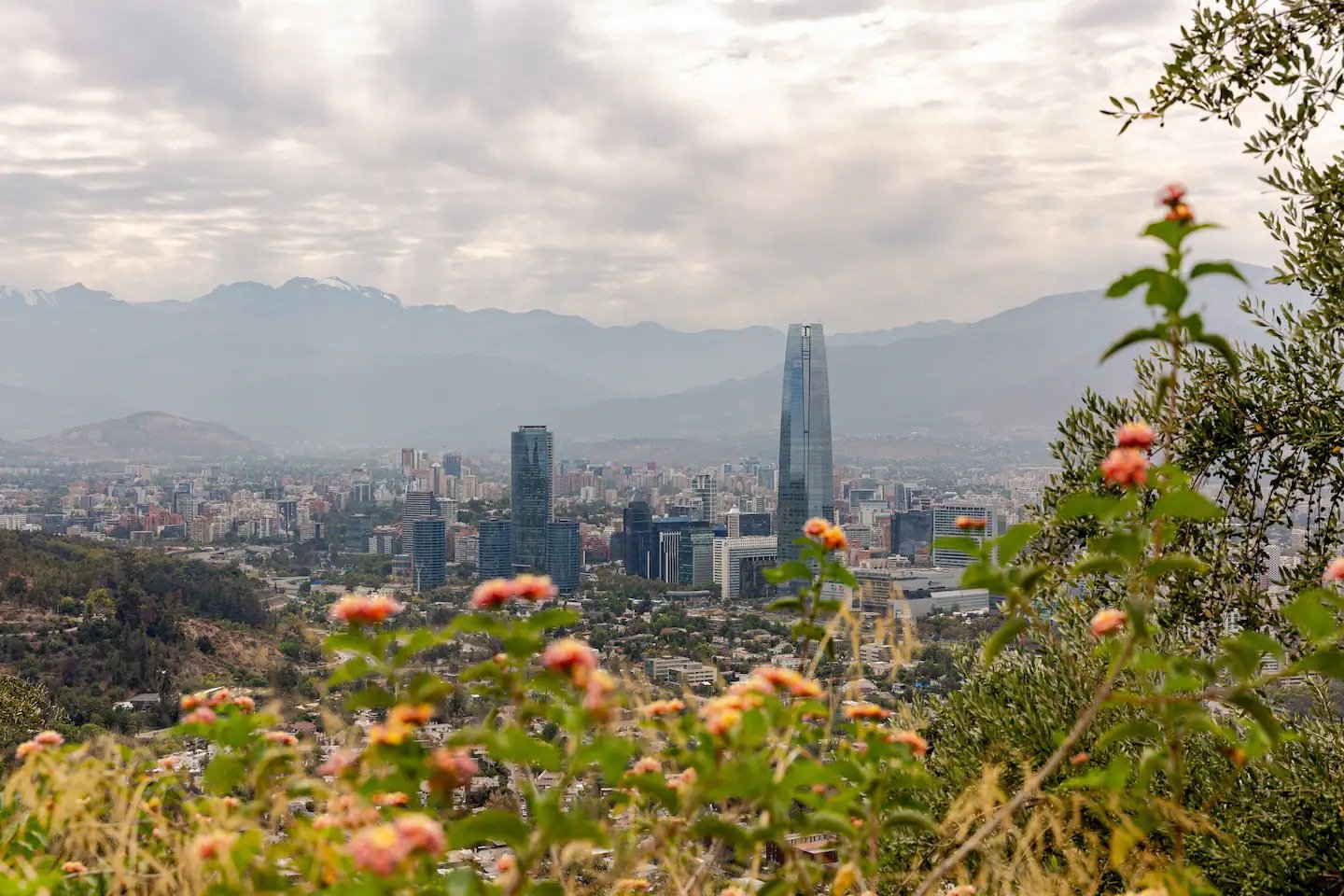 City skyline with tall skyscrapers, mountains in the background, and pink flowers in the foreground.