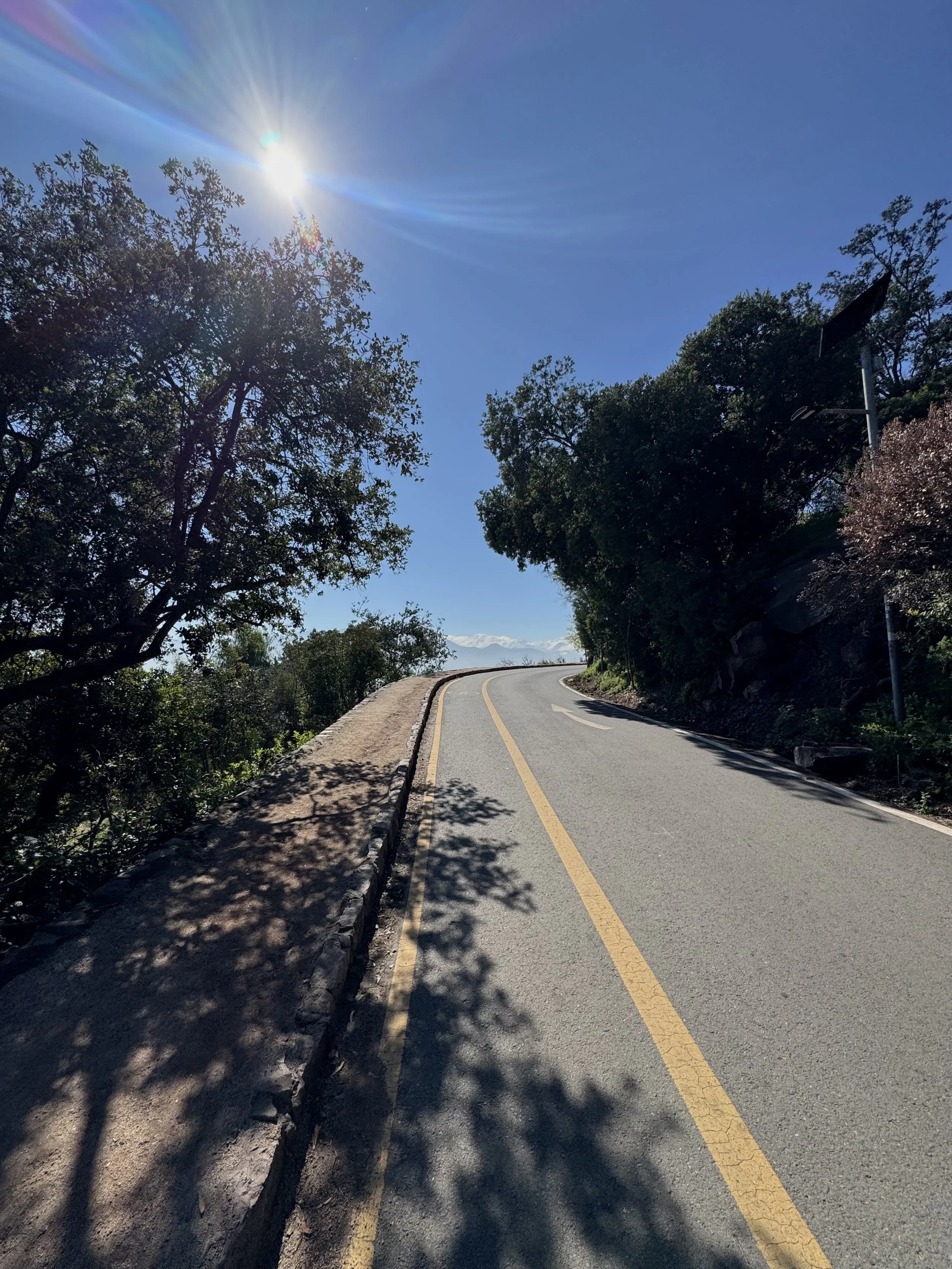 A winding mountain road under a bright sunny sky with trees on both sides and shadows cast on the pavement.