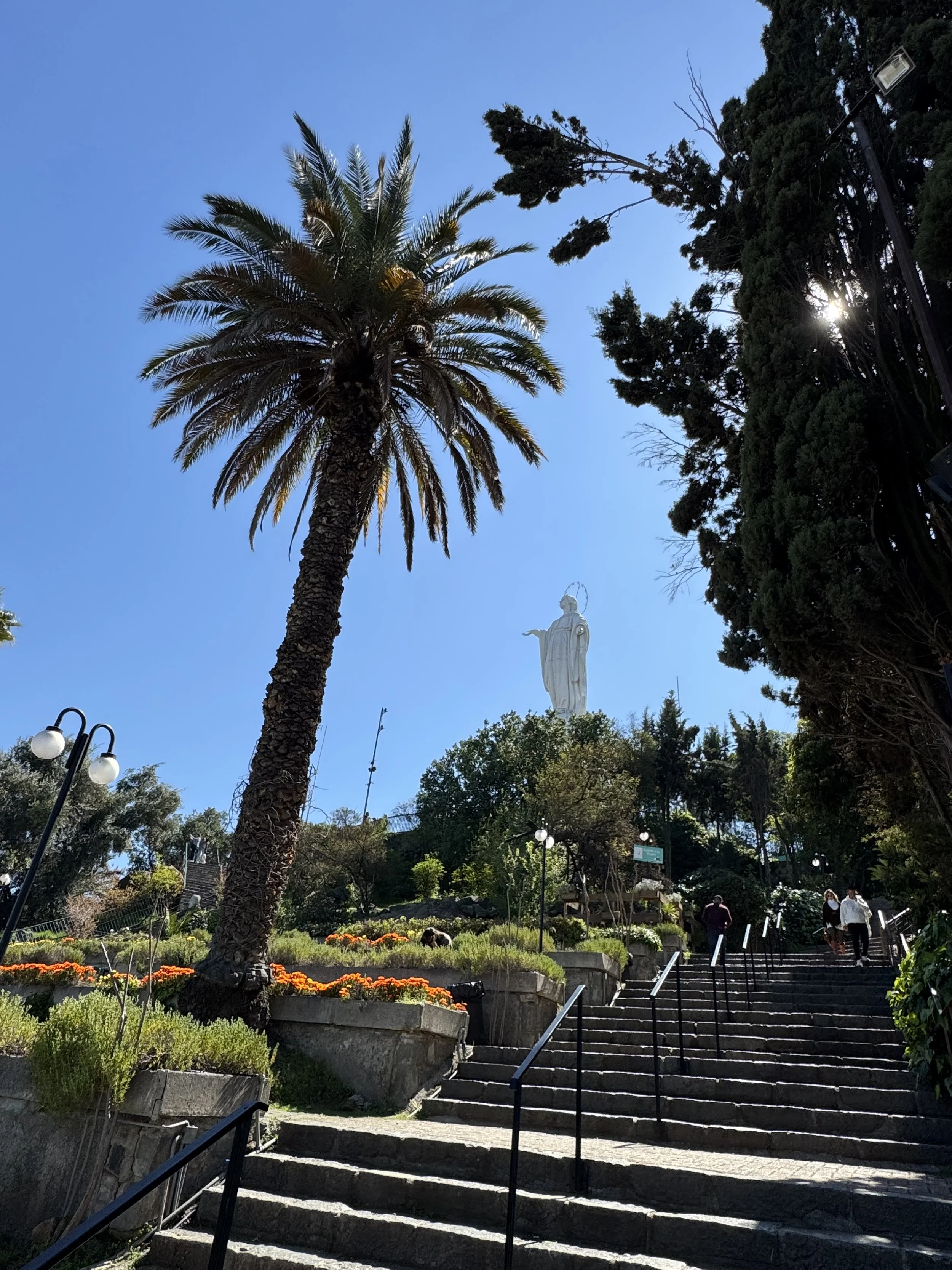 Photo of a stone staircase leading up to a park with a large palm tree on the left, a tall dense tree on the right, and a statue of Jesus Christ in the background on a hill under a clear blue sky.