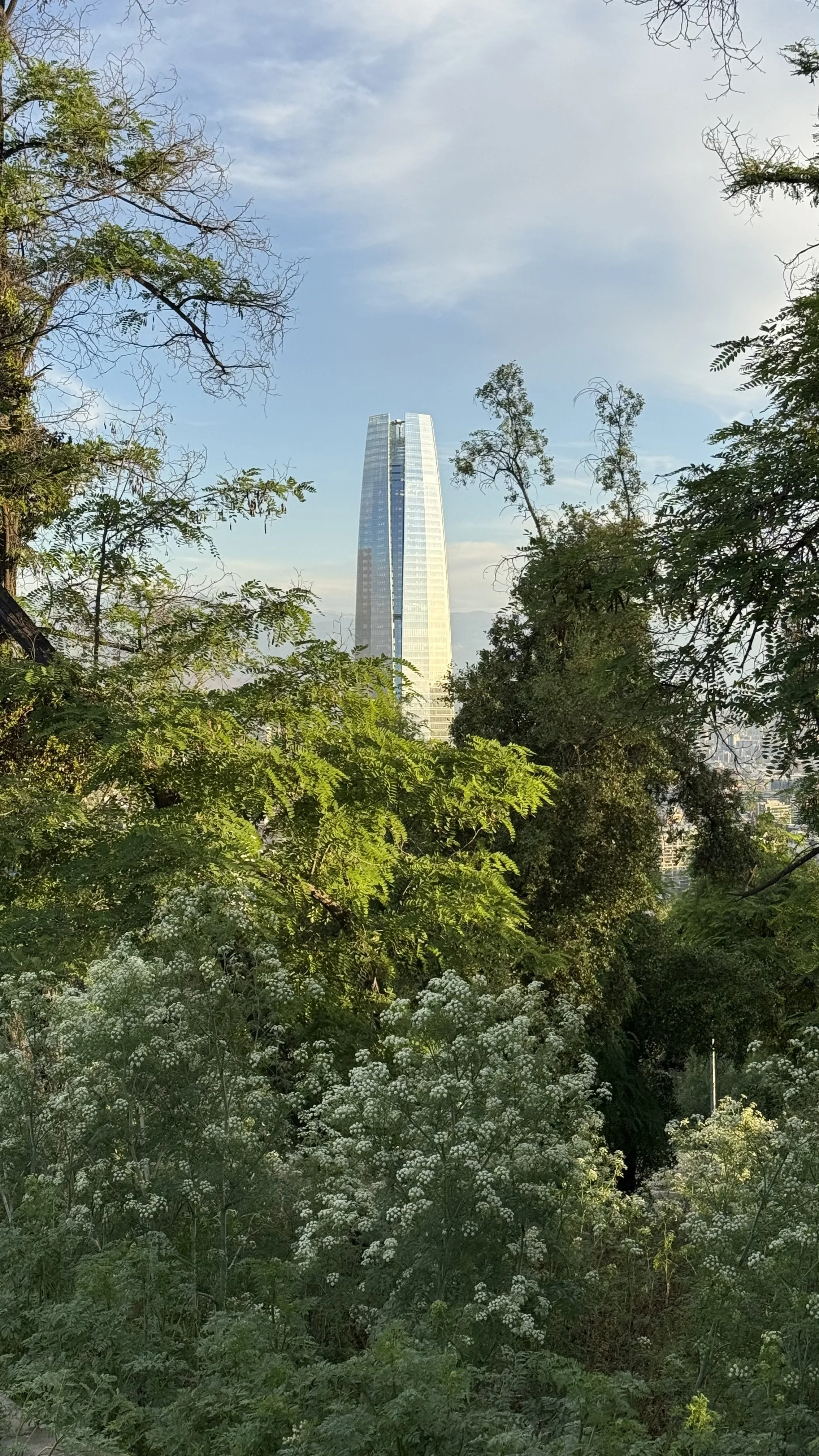 Tall modern skyscraper behind dense green trees and white flowering bushes.