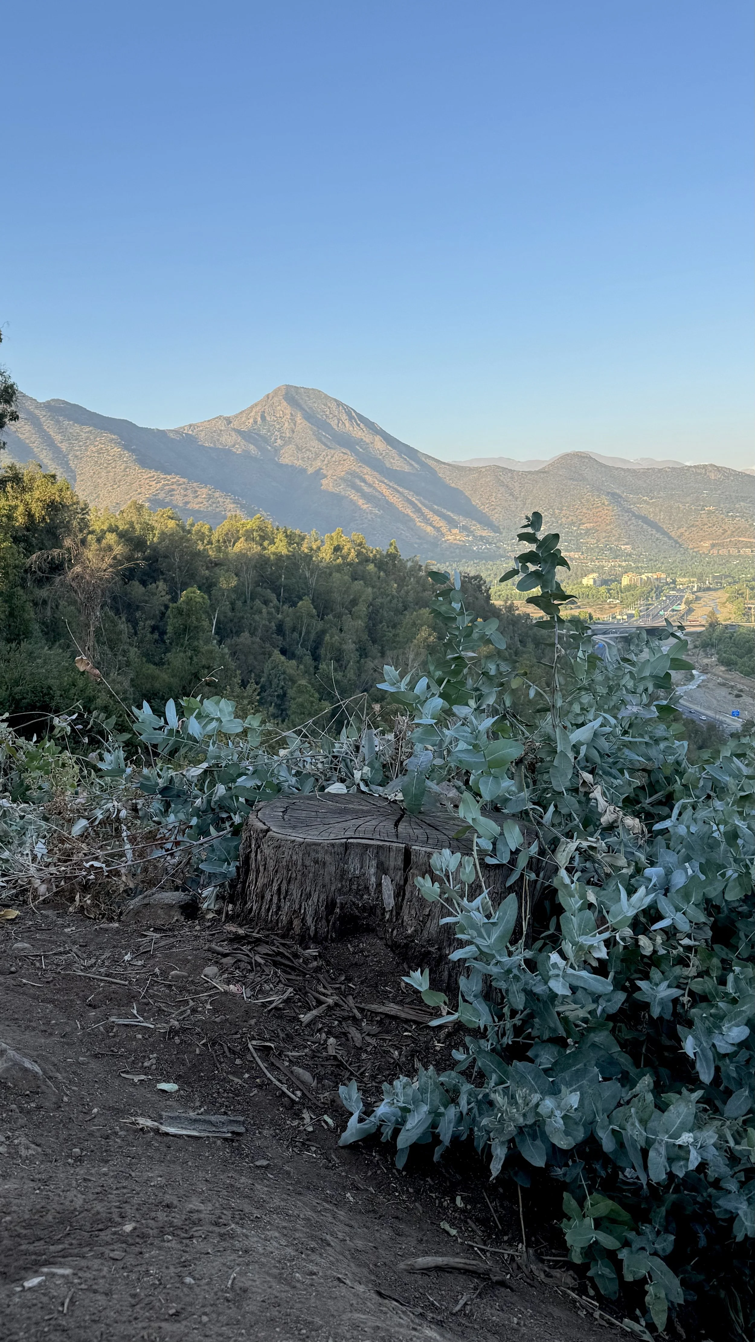 Mountain landscape with clear blue sky, green trees, and a tree stump in the foreground.