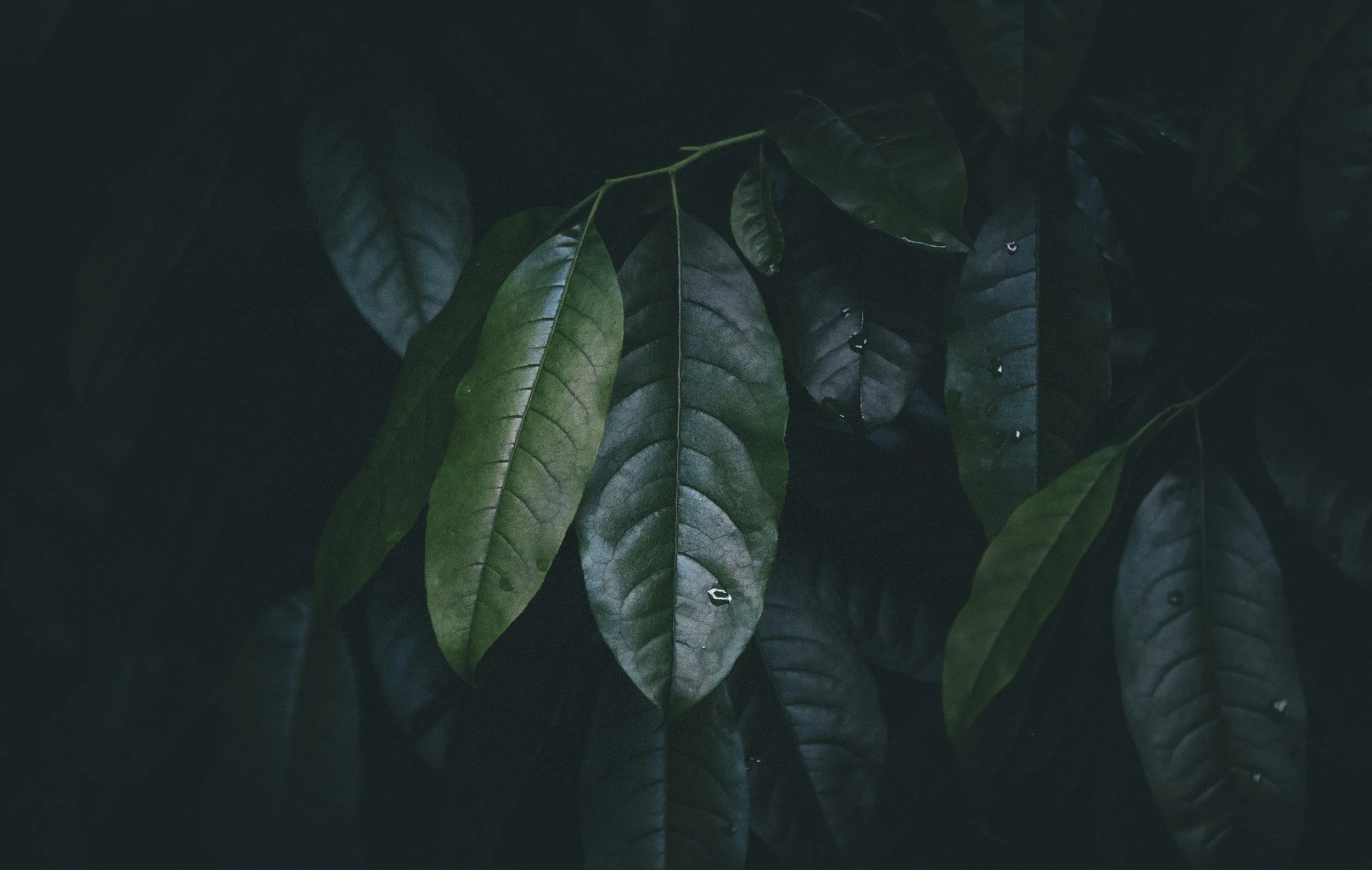 HuffPost: The Biggest Mistakes People Make with Narcissists