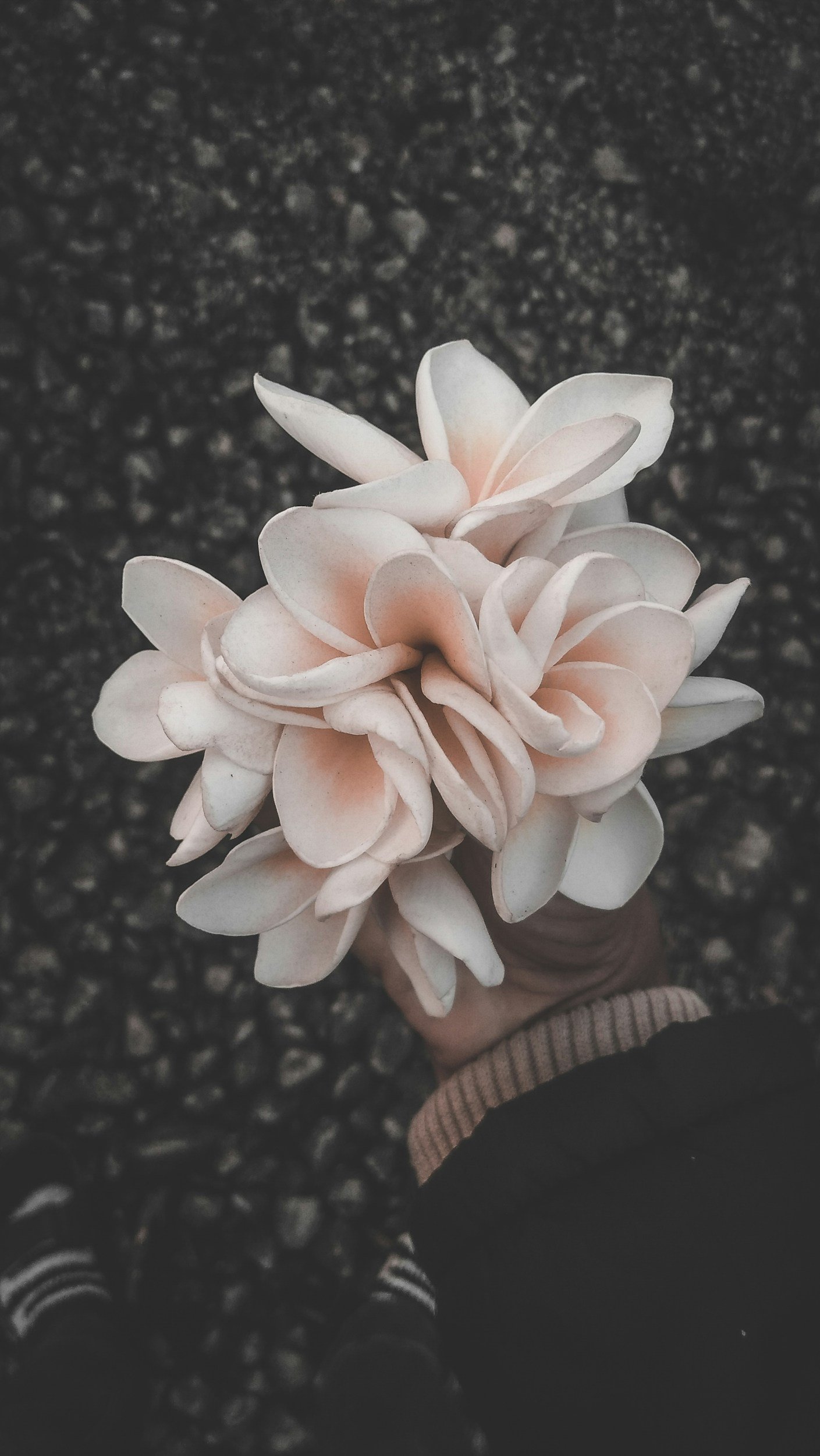 Person holding a bouquet of light pink and white flowers, standing on a gravel surface.