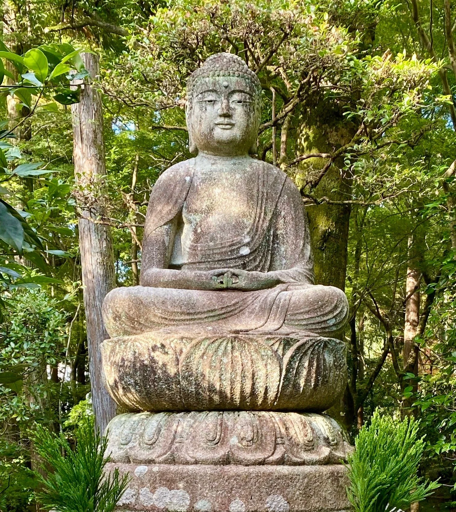 Weathered stone Buddha statue in a forest setting, seated in a meditative pose on a lotus pedestal with lush green trees and shrubs surrounding it.
