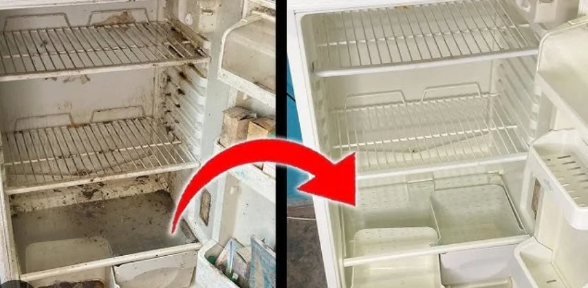 Fridge/Freezer Cleaning