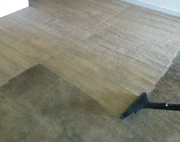 Shampoo Carpet