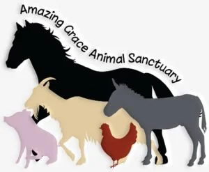 Amazing Grace Animal Sanctuary