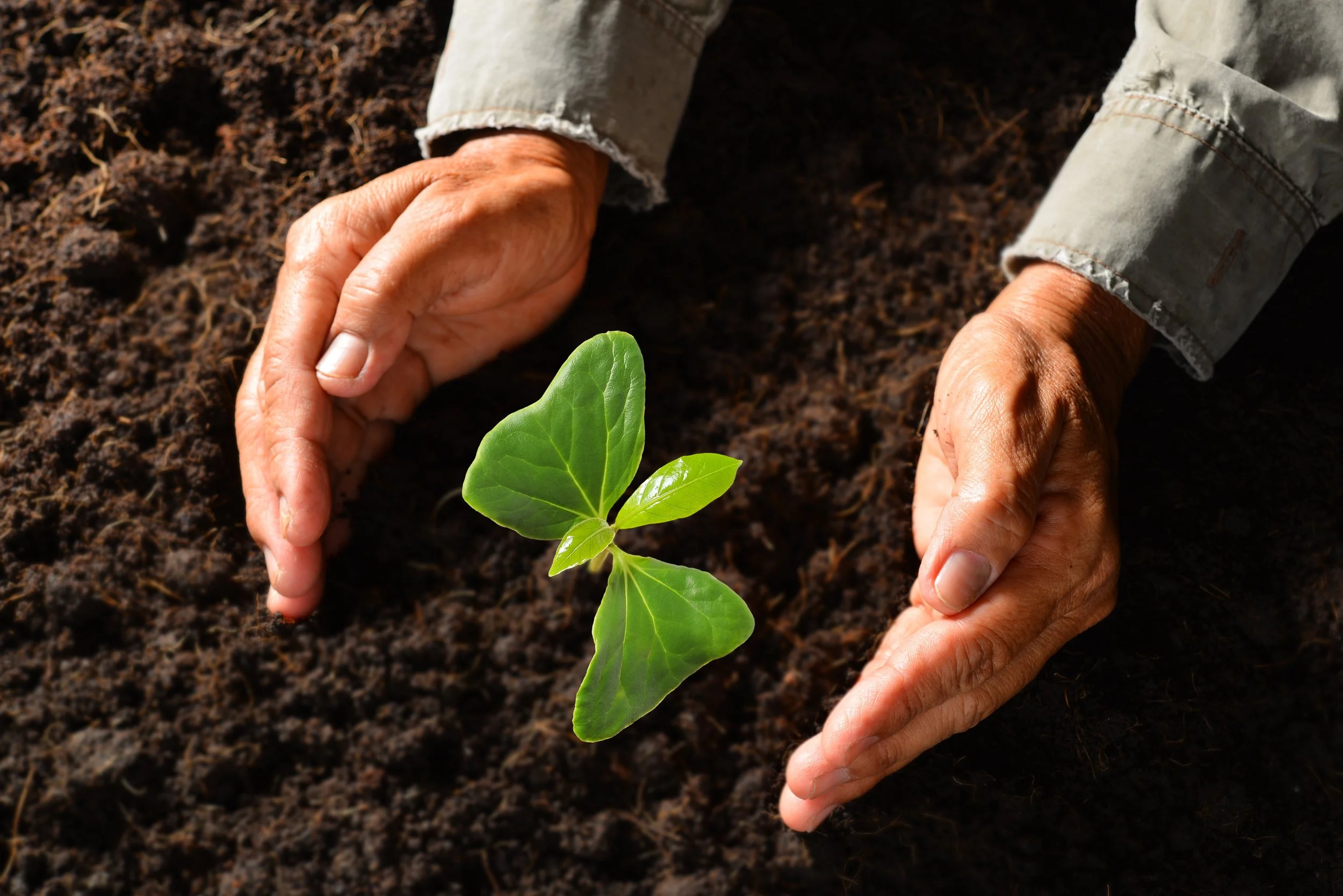 What’s Your Plan for Planting?