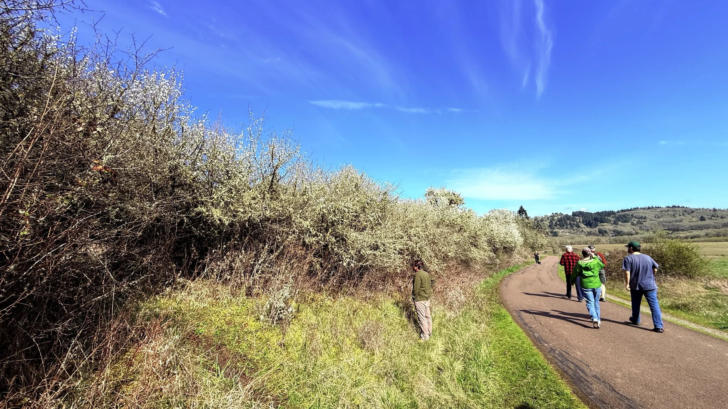 Monthly Walk and Talk at Bald Hill Natural Area, Corvallis Oregon, emotionart Village gathering