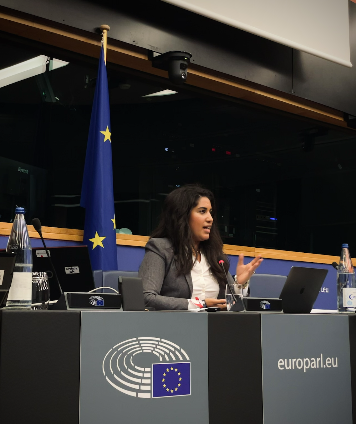 Eine Frau spricht bei einer Veranstaltung im Europäischen Parlament, mit einer EU-Flagge im Hintergrund.