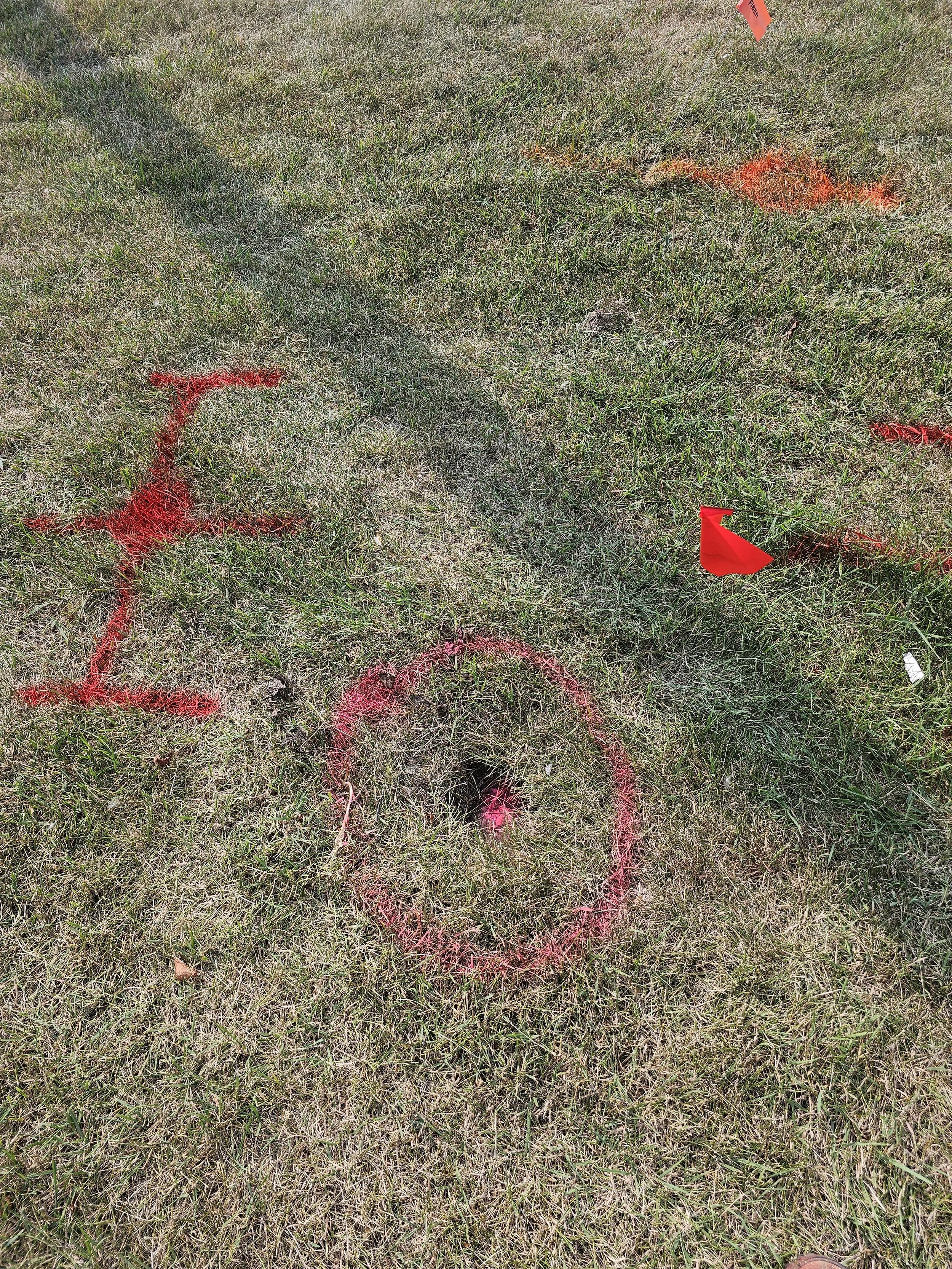 A hole in the grass marked with pink spray paint, with red spray-painted circles around it and red flags nearby, indicating underground utilities and facilities in an excavation or investigation site.